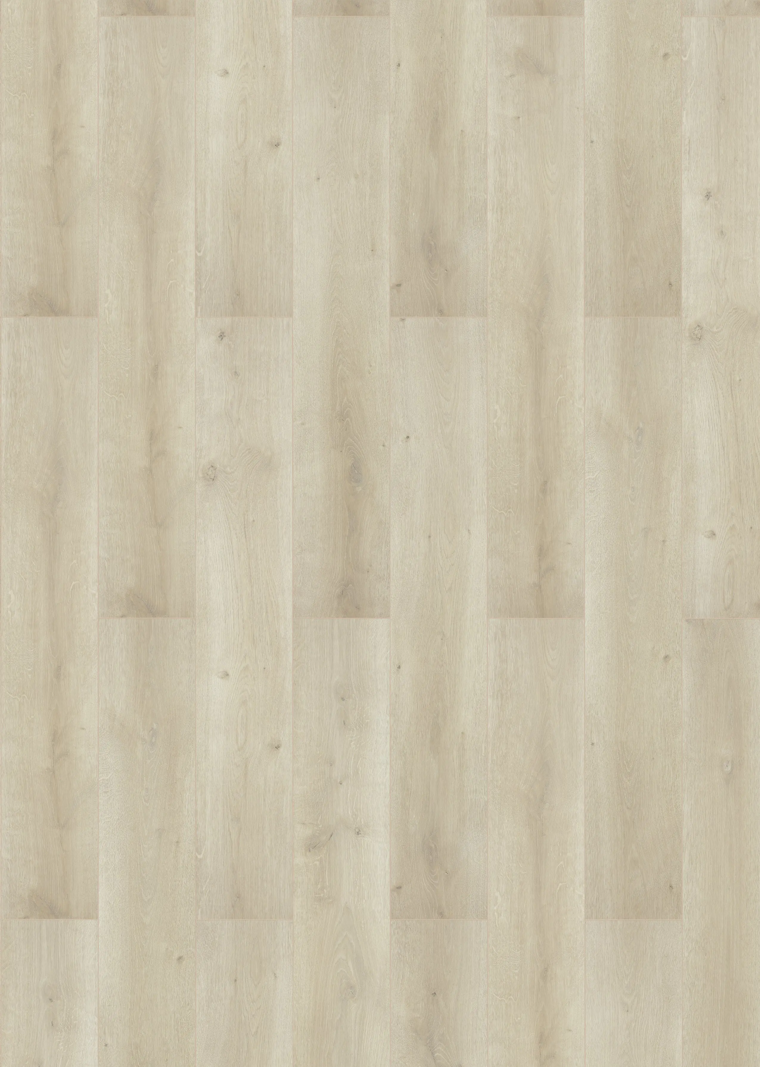 Classen Laminat Megaloc Aquaprotect 128,5 x 19,2 cm 8 mm Oak creme natural