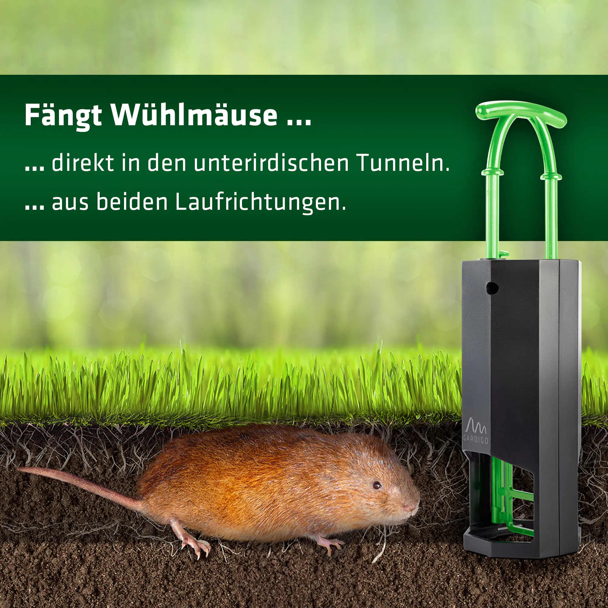 Gardigo Wühlmausfalle 1 Stück