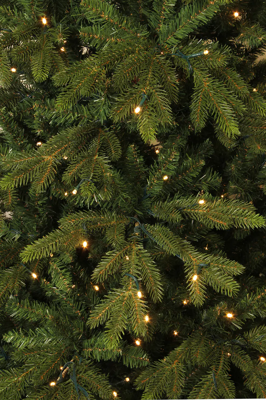 Black Box Trees Weihnachtsbaum Macallan 230 cm grün mit LED