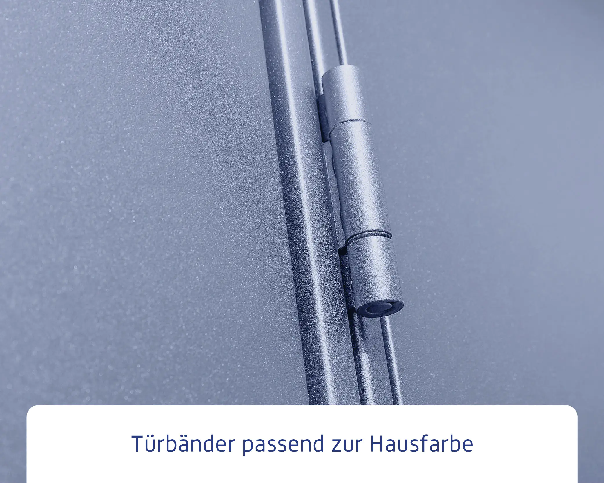 EcoStar Gerätehaus Elegant-S Typ 3 taubenblau 1 flg 323,6 x 247,7 cm