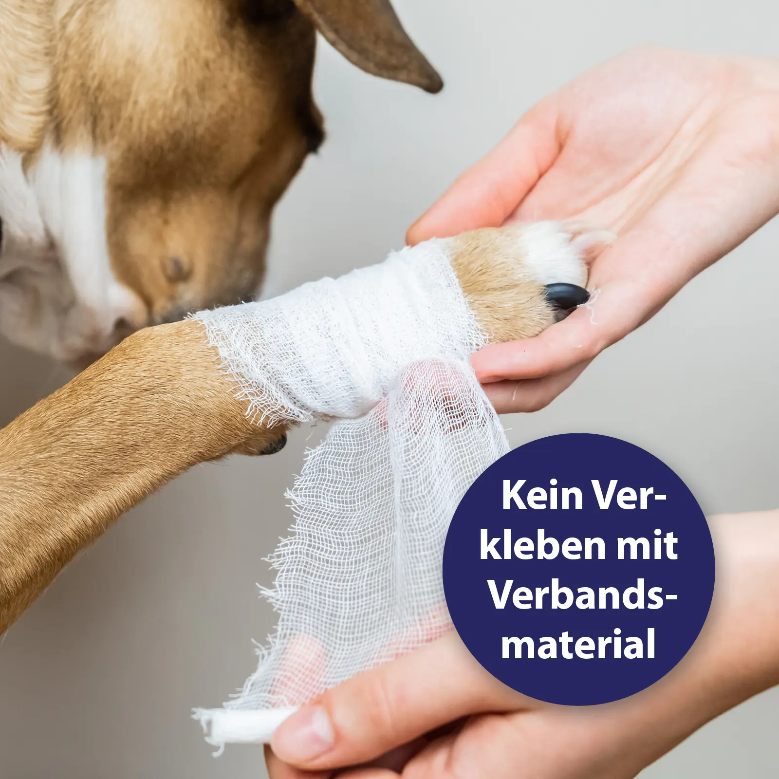 Canosept Wundgel für Hunde 20 ml