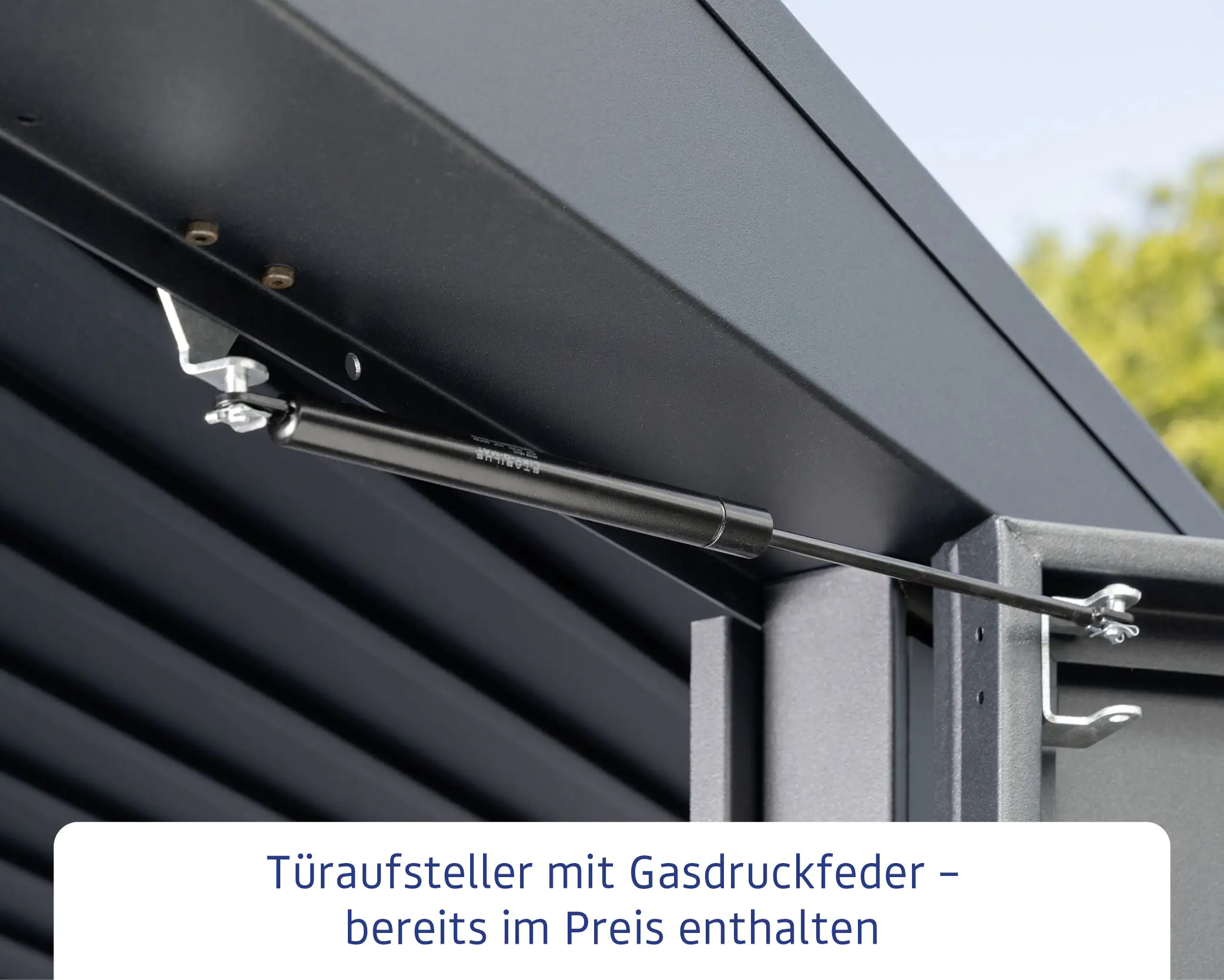 EcoStar Gerätehaus Elegant-S Typ 3 323,6 x 247,7 x 219,4 cm moosgrün