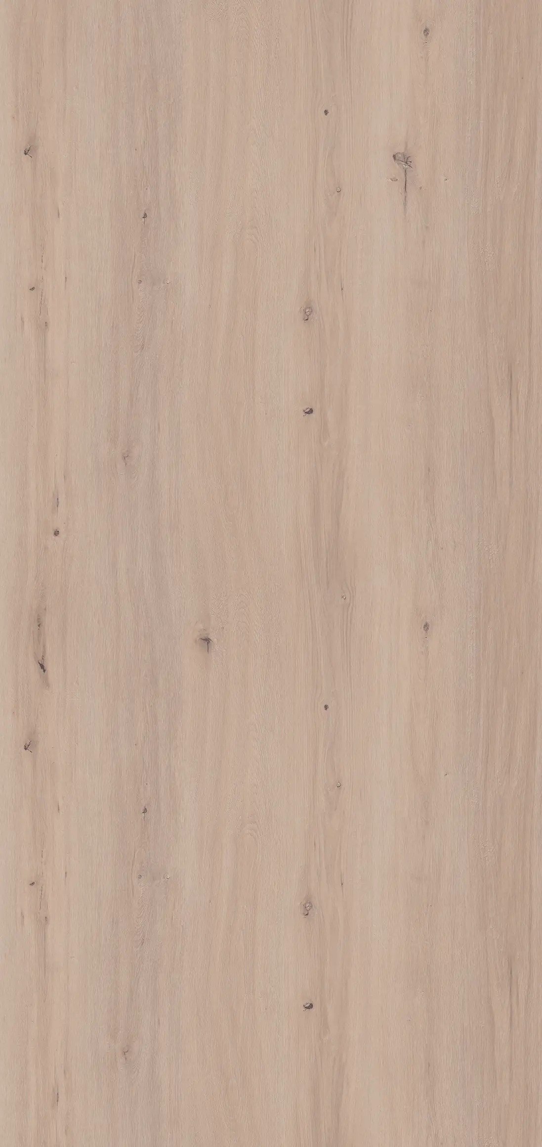 Classen Wandverkleidung Vario Grey Oak 255 x 120 cm 3 mm
