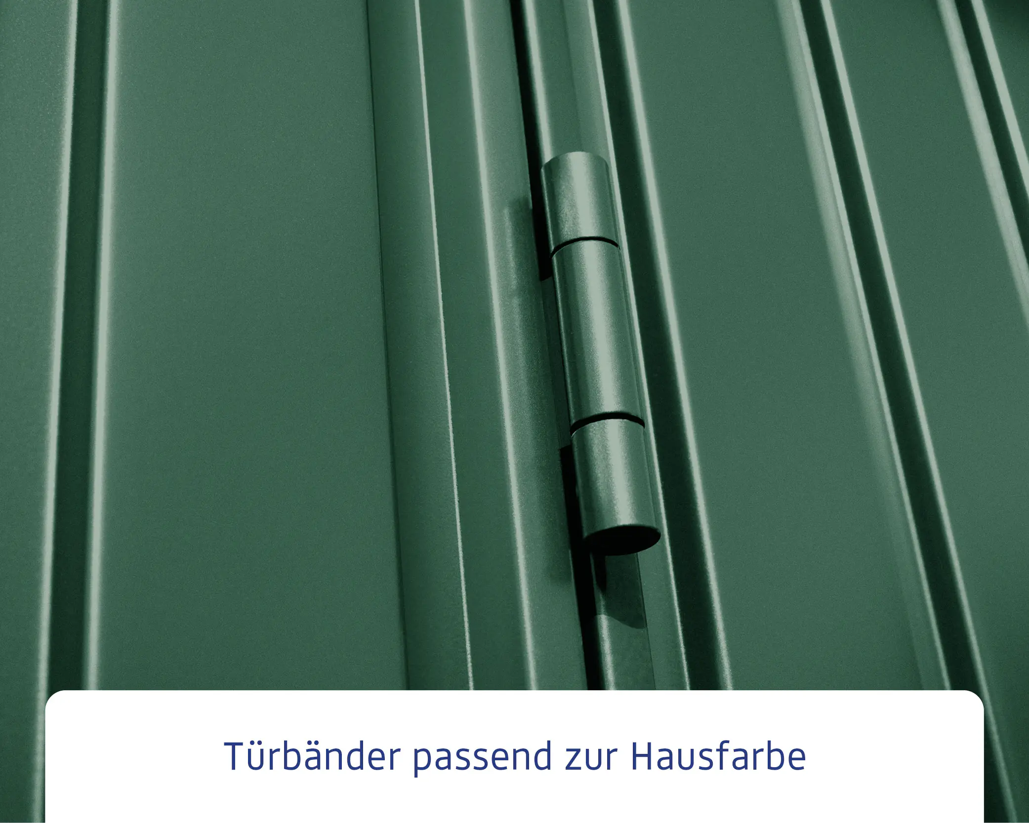 EcoStar Gerätehaus Trend-P Typ 1 moosgrün 247,9 x 153 x 228,6 cm