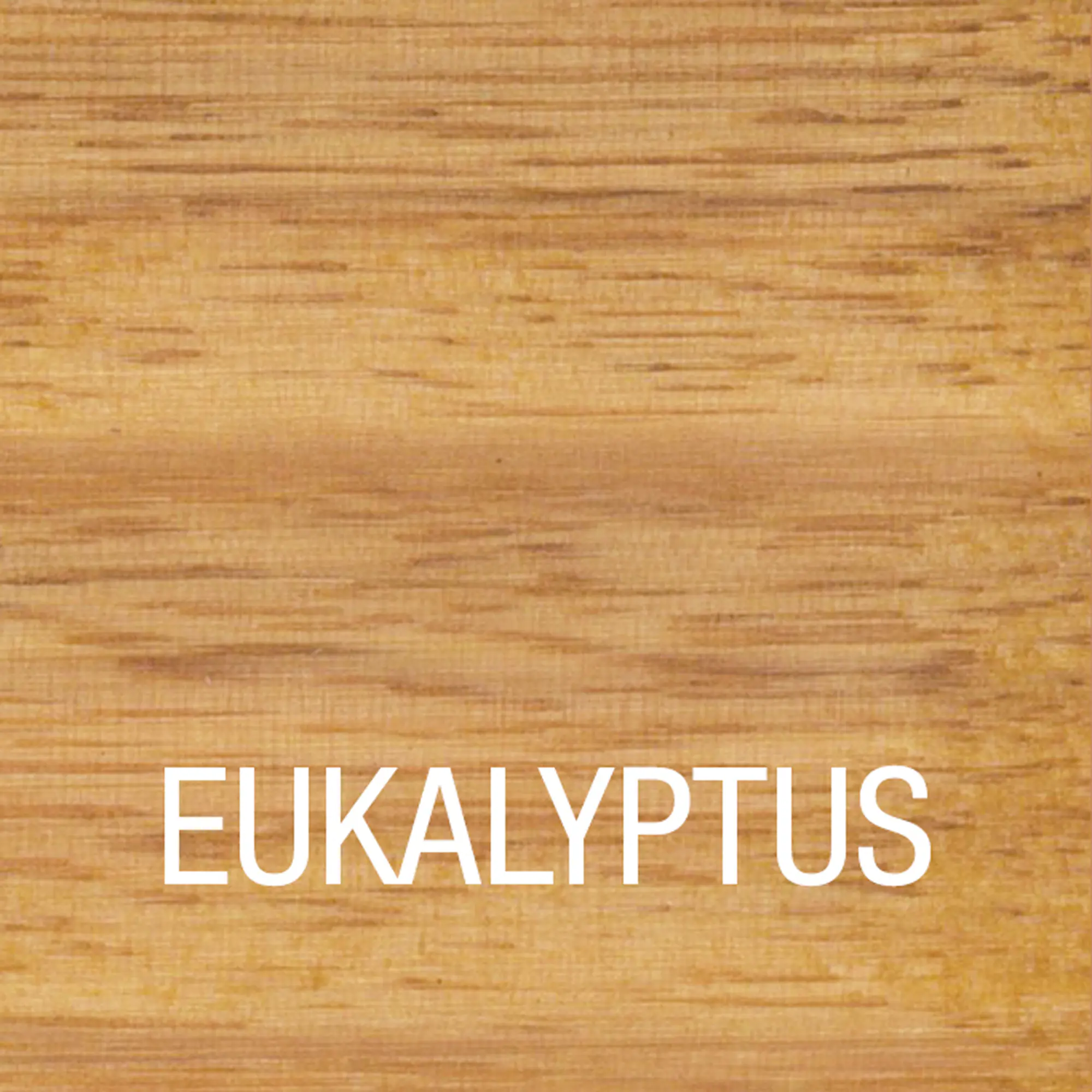 Bondex Eukalyptus Öl 750 ml