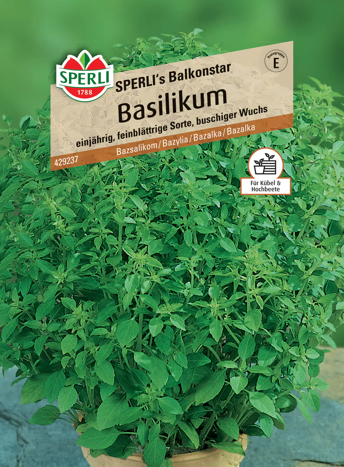 Sperli Basilikum Sperli 's Balkonstar