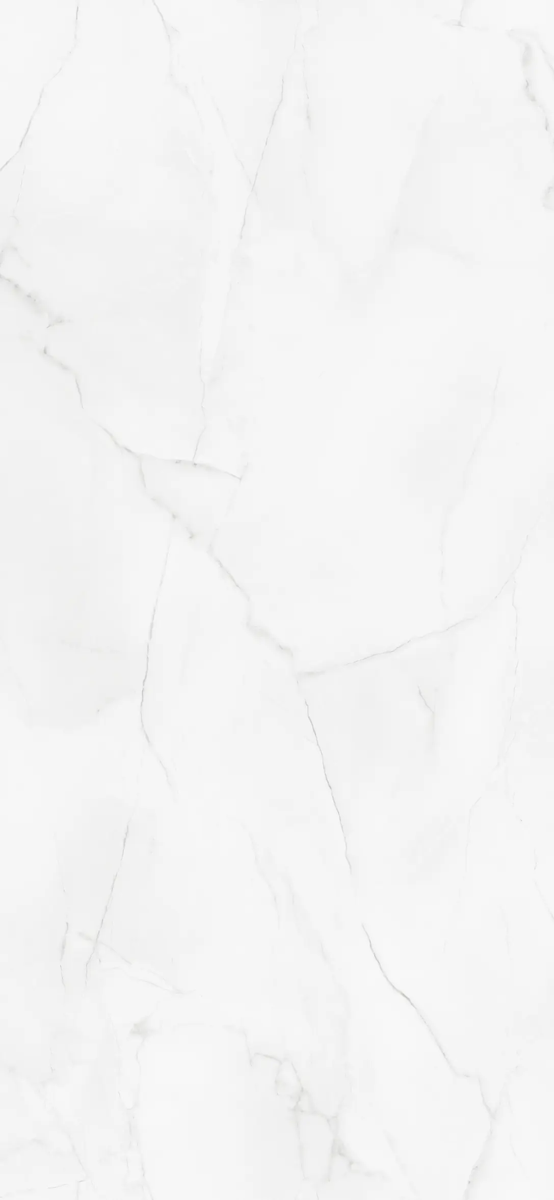Wetwall Elite Wandpaneel  Athena Marble 16 x 242 cm mit abgerundeter Abschlusskante