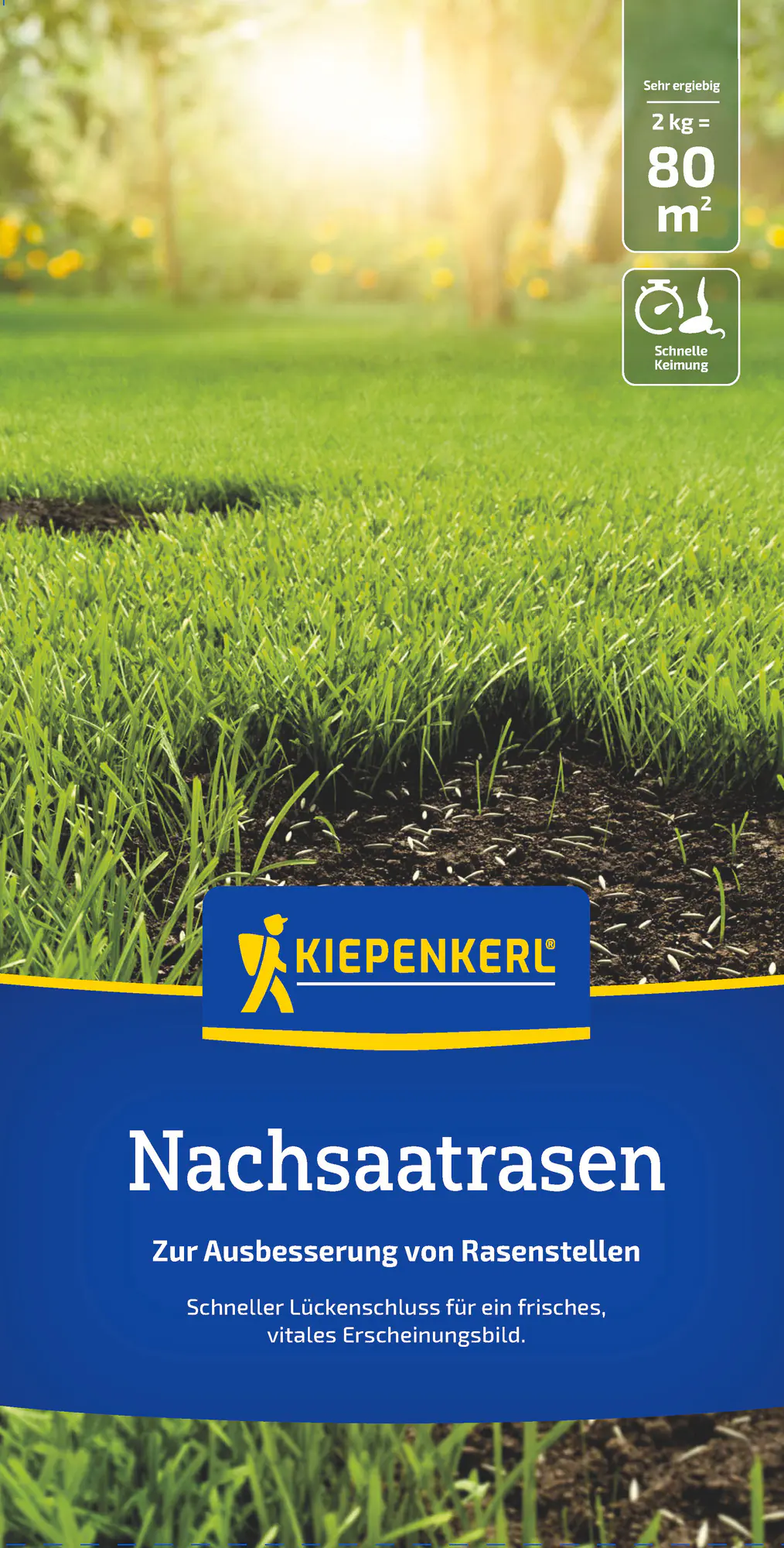 Kiepenkerl Saatgut Nachsaatrasen 2 kg für ca. 80 m²