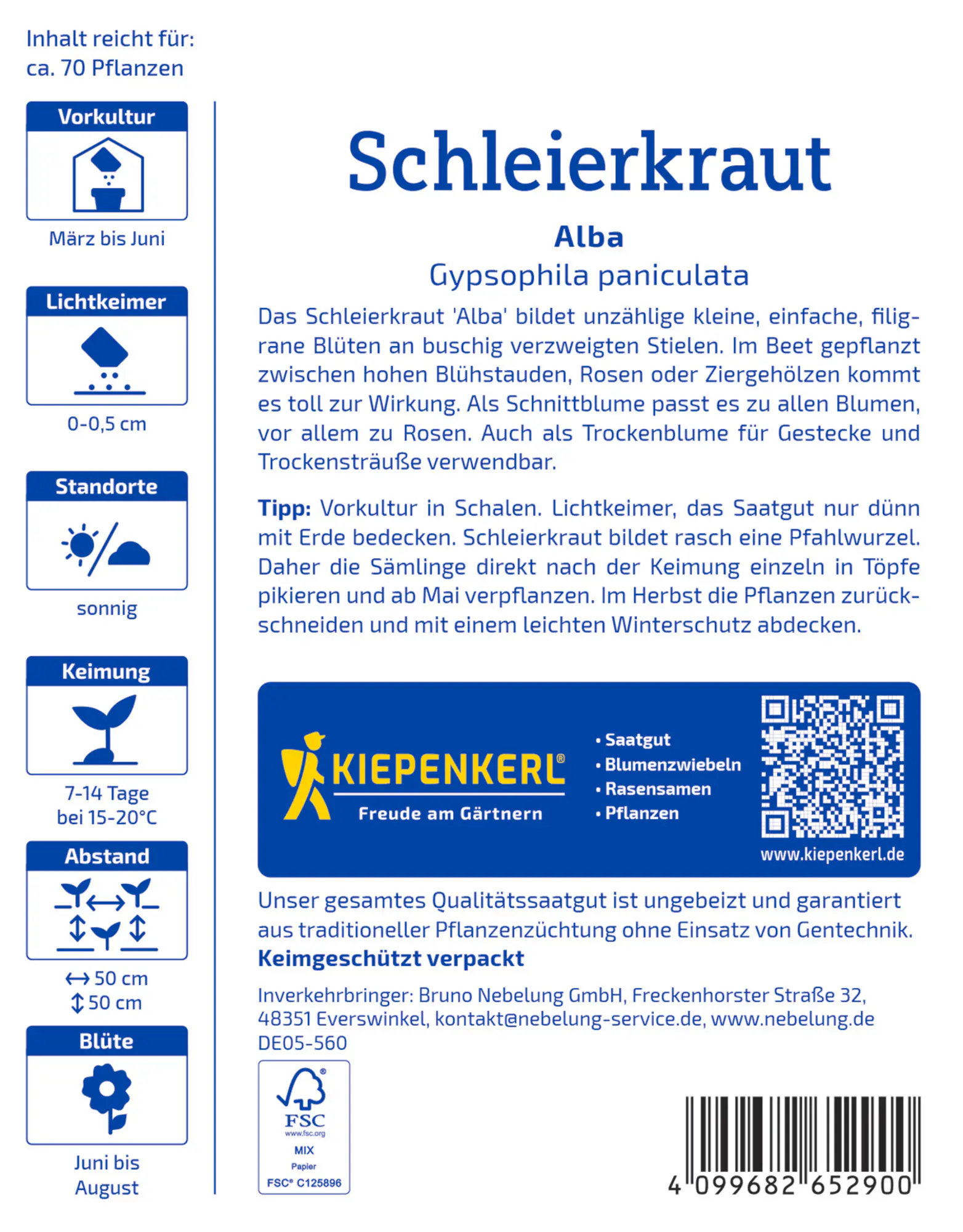 Kiepenkerl Blumensamen Schleierkraut Alba für ca. 70 Pflanzen