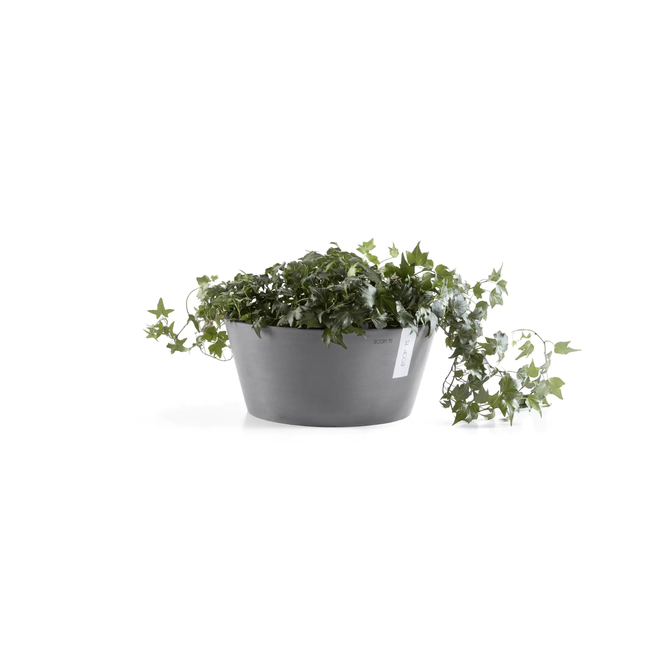 Ecopots Pflanztopf Frankfurt Ø 41 x 18 cm grau