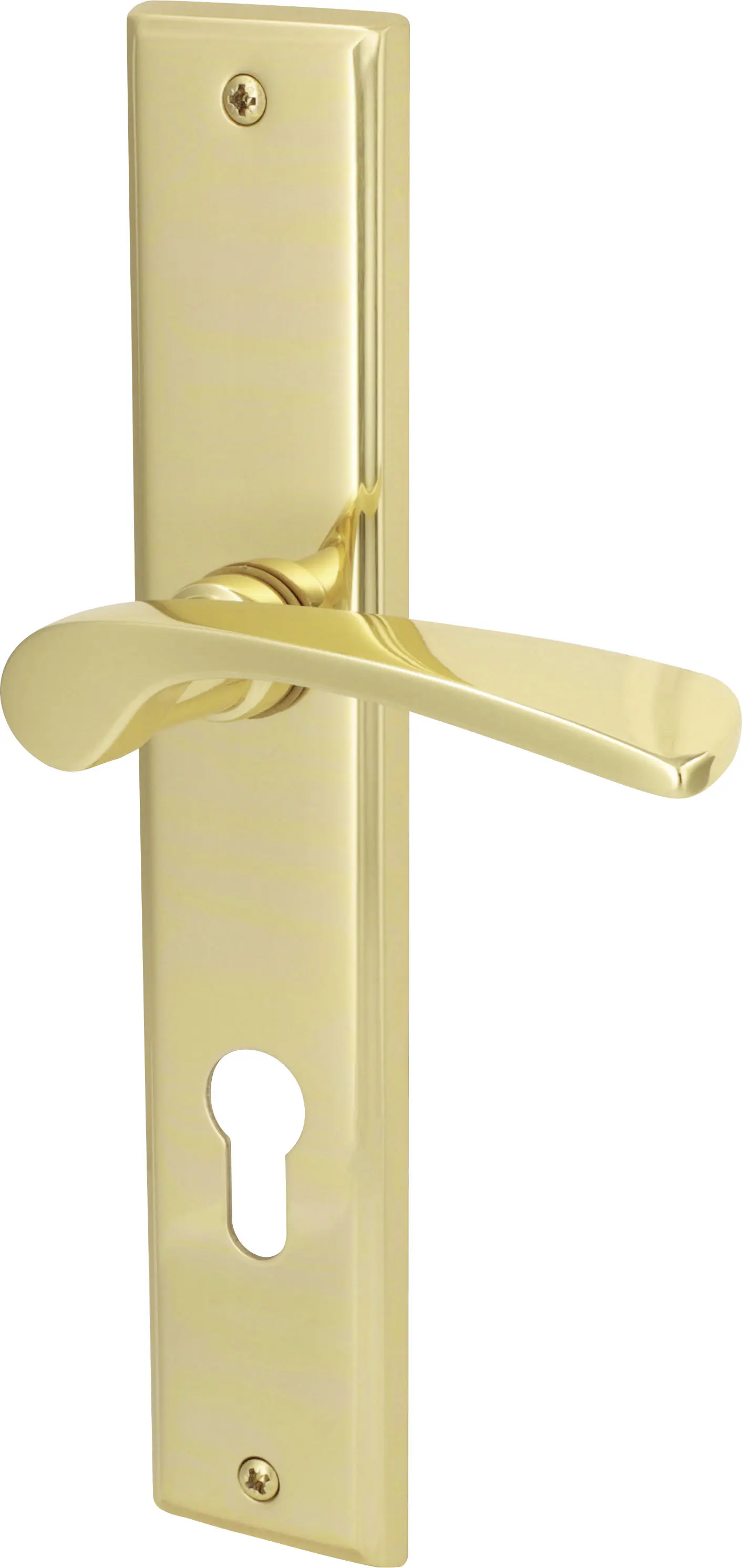 Südmetall Türgriff-Garnitur Langschild Nelson PZ Messing brüniert gold 237 x 45 mm