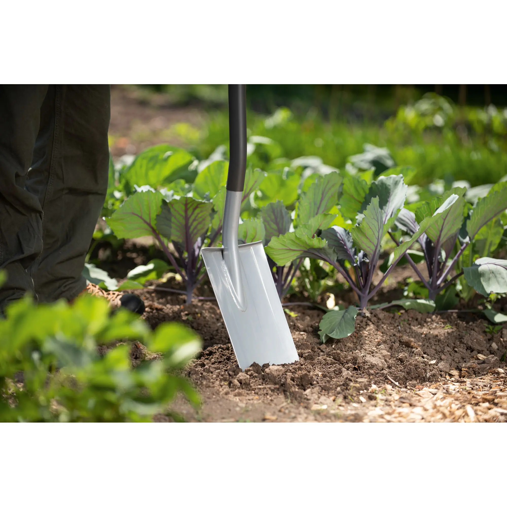 Wolf Garten Spaten ASP-D 123 cm ergonomischer D-Griff gerade