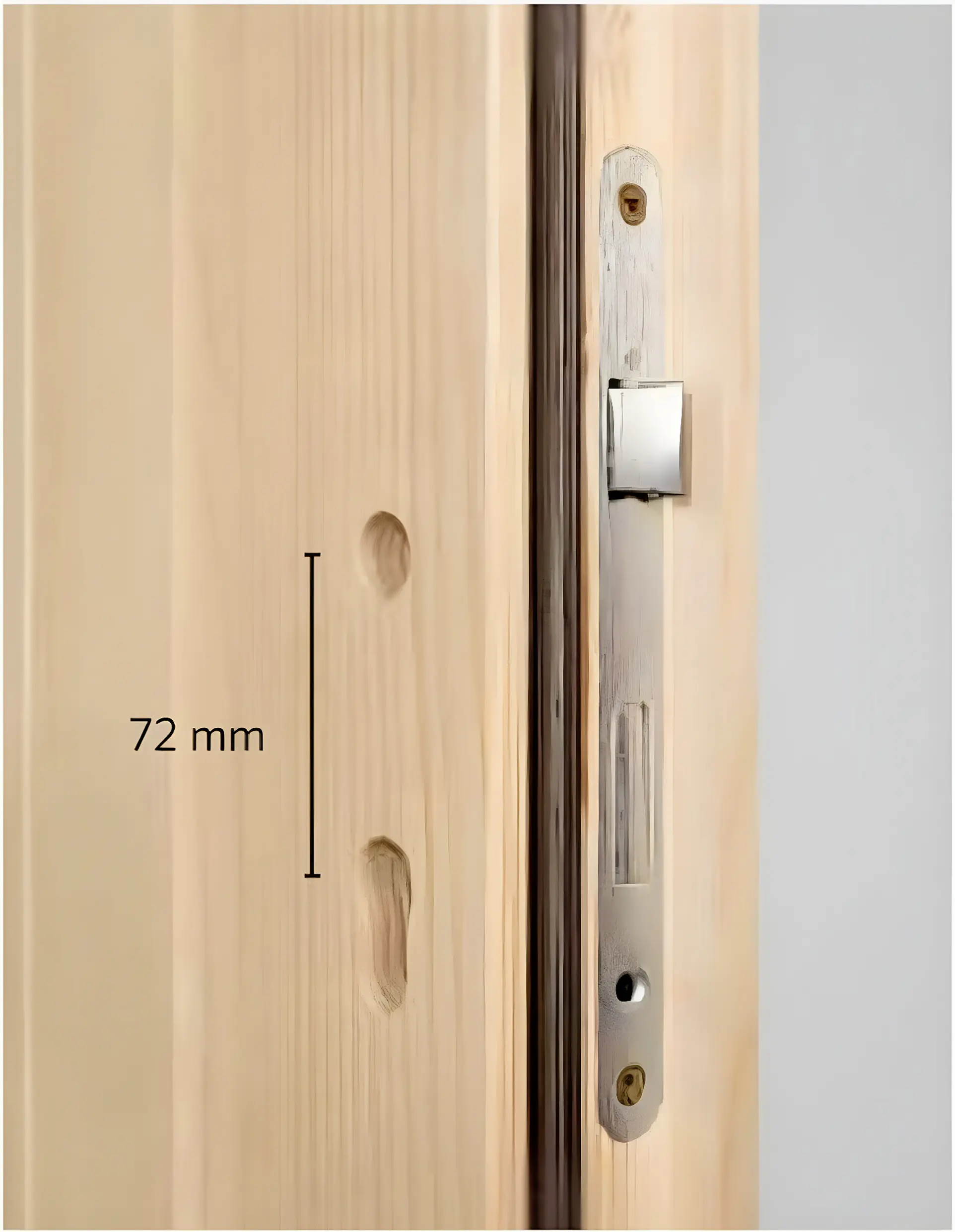 Panto Nebeneingangstür Holz 506 98 x 198 cm DIN rechts