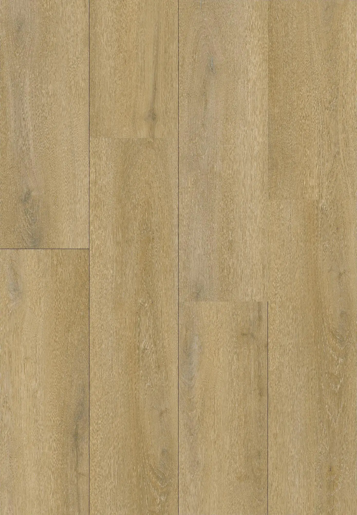 Primaster Vinylboden Eiche Royal
