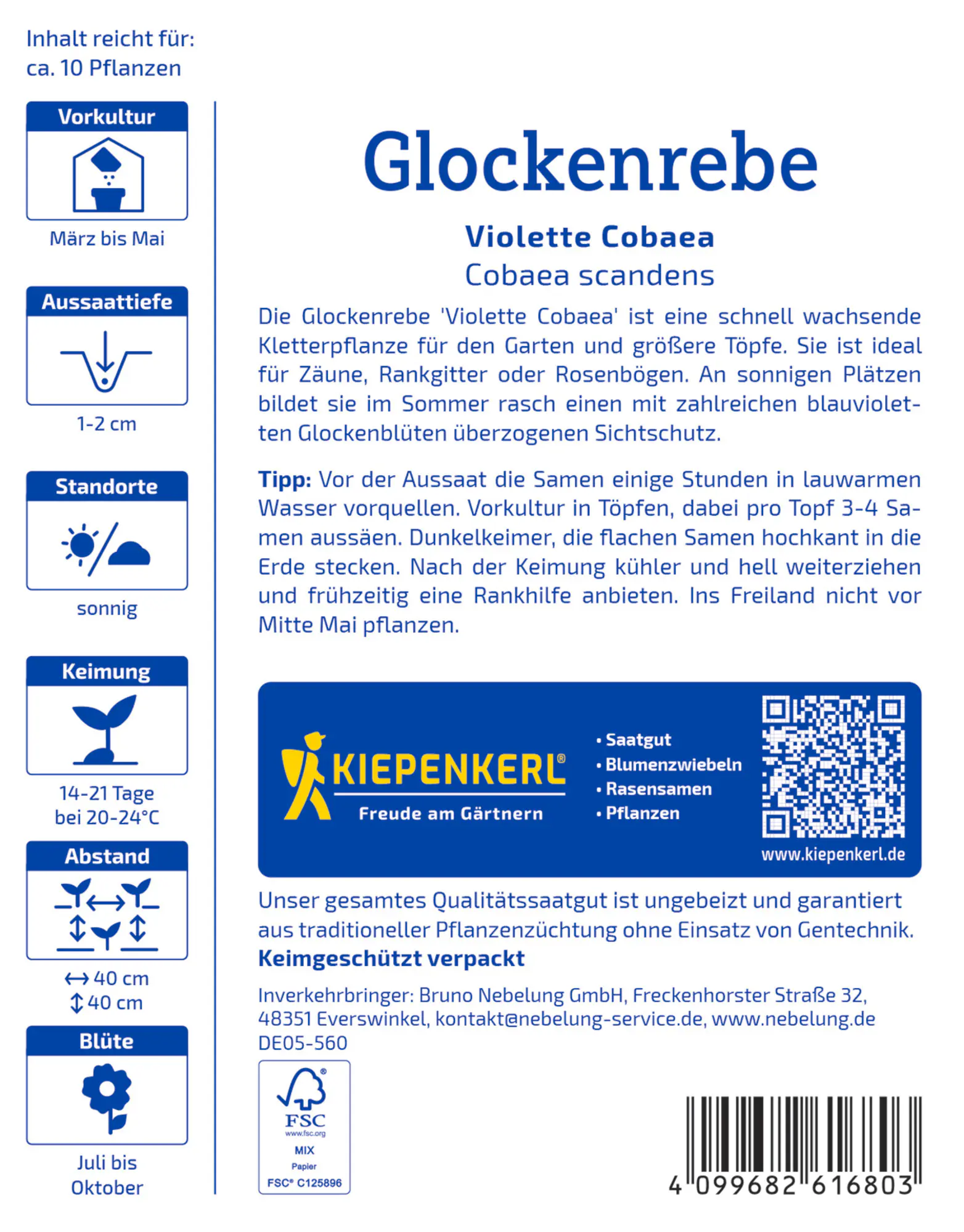 Kiepenkerl Saatgut Glockenreben Violette Cobaea für ca. 10 Pflanzen