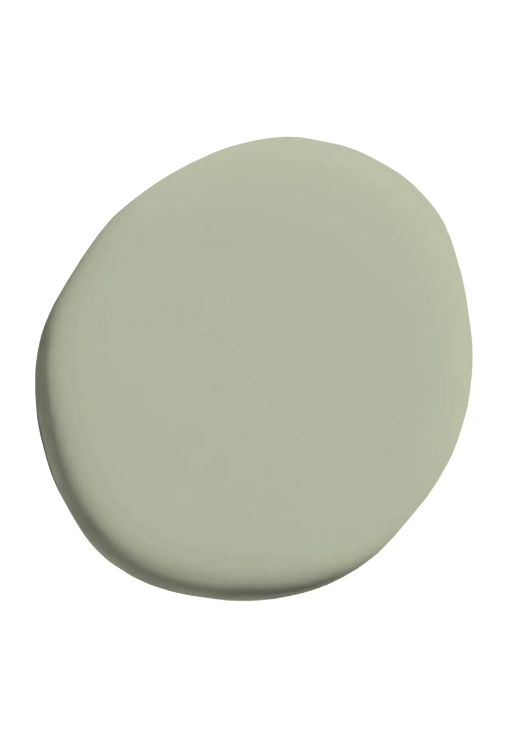 Alpina Pure Farben Wandfarbe eukalyptusgrün 2,5 L