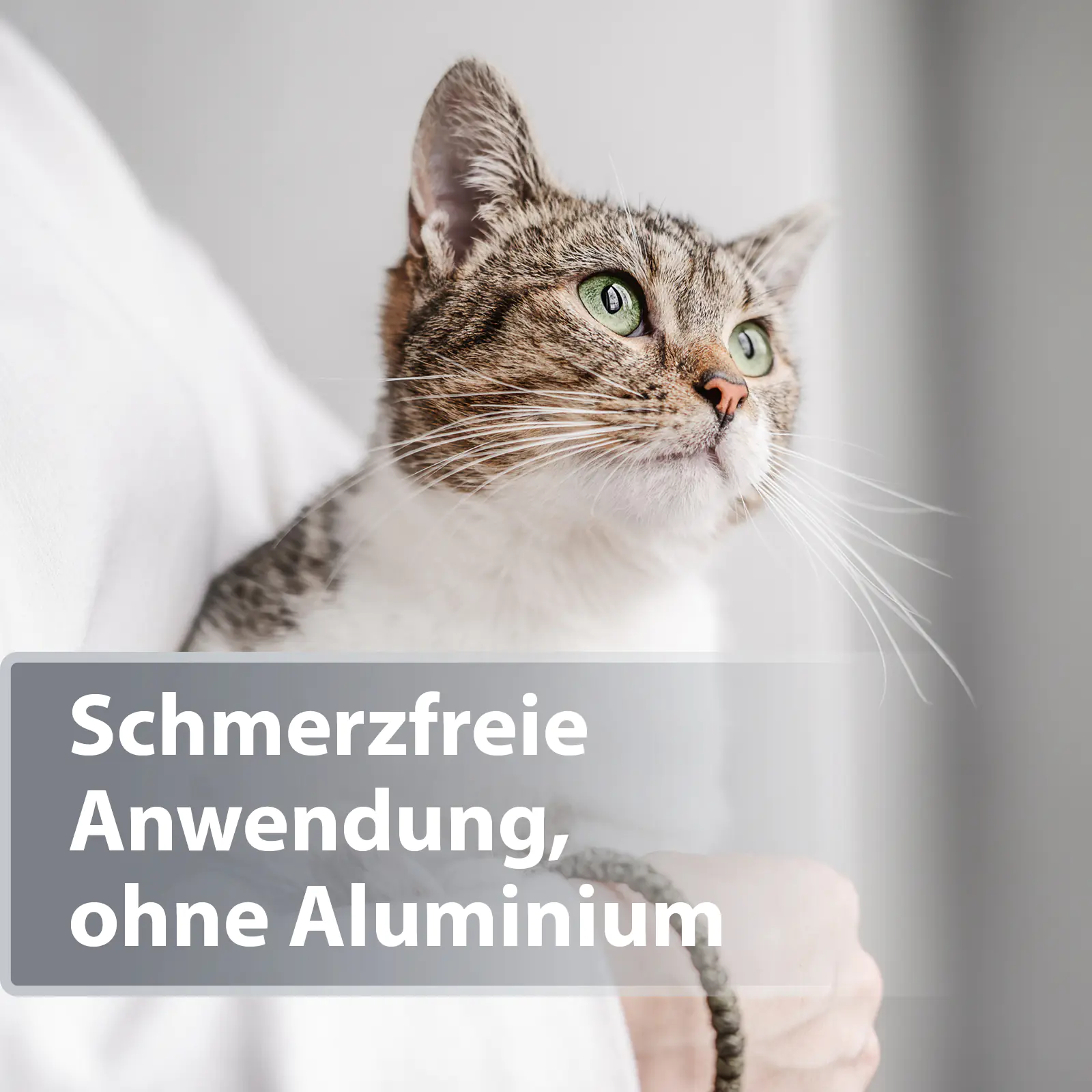 Felisept Mikro Silberspray für Katzen 75 ml