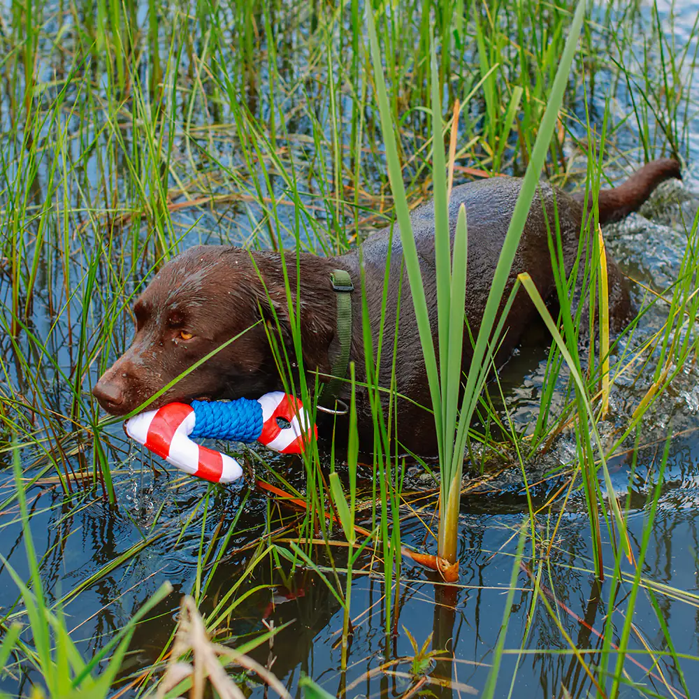 Nobby Anker mit Seil Floating 24,5 cm