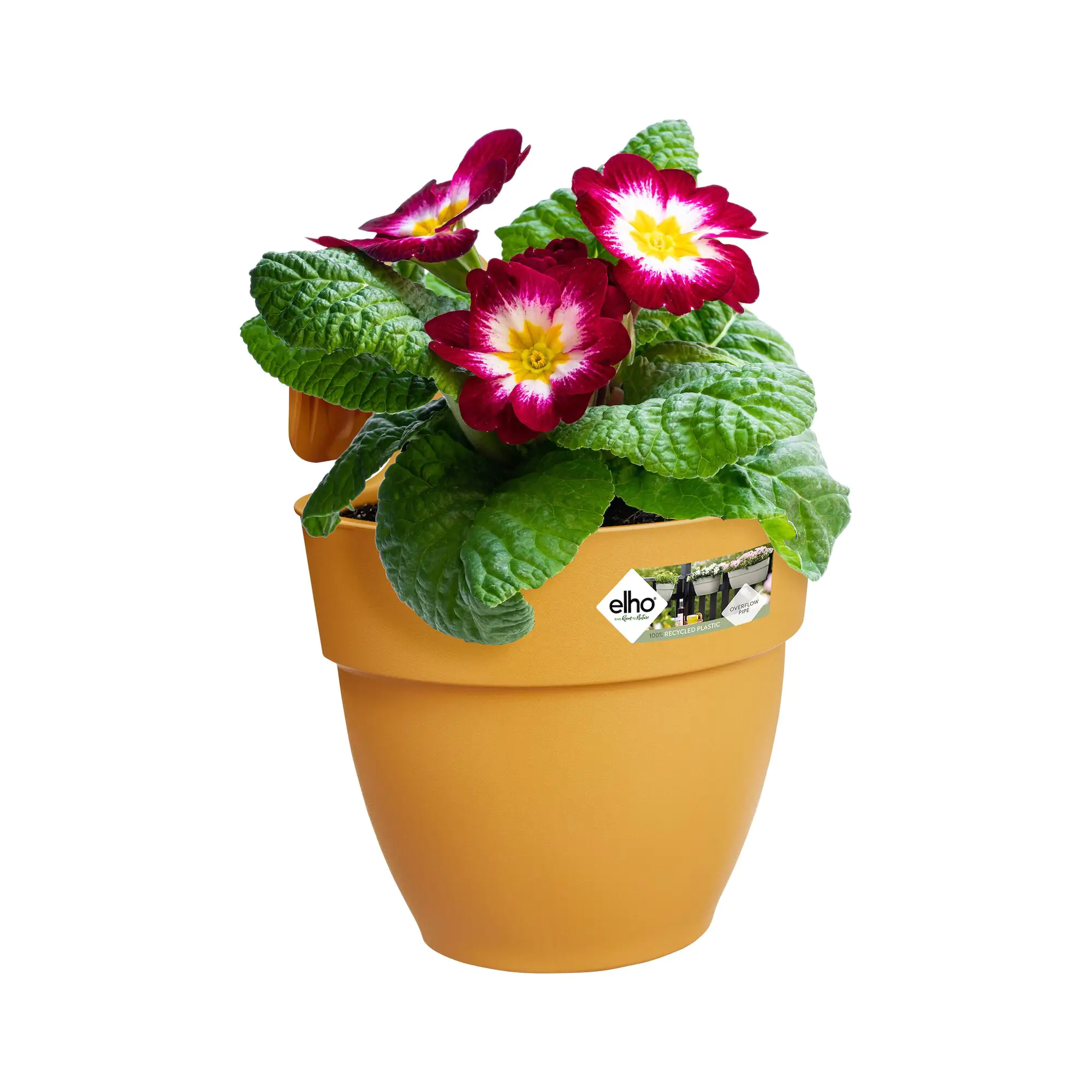 Elho Blumentopf zum Hängen Kunststoff gelb 20,5 x 24,1 x 26,5 cm Vibia Campana Easy Small