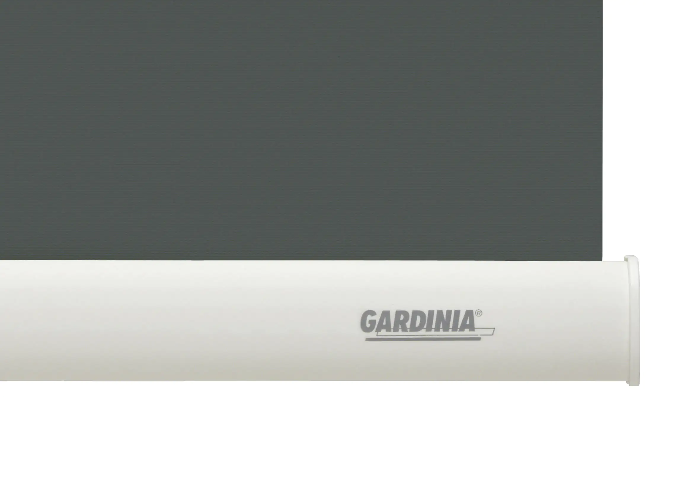 Gardinia Seitenzugrollo Abdunklung grau 82 x 180 cm