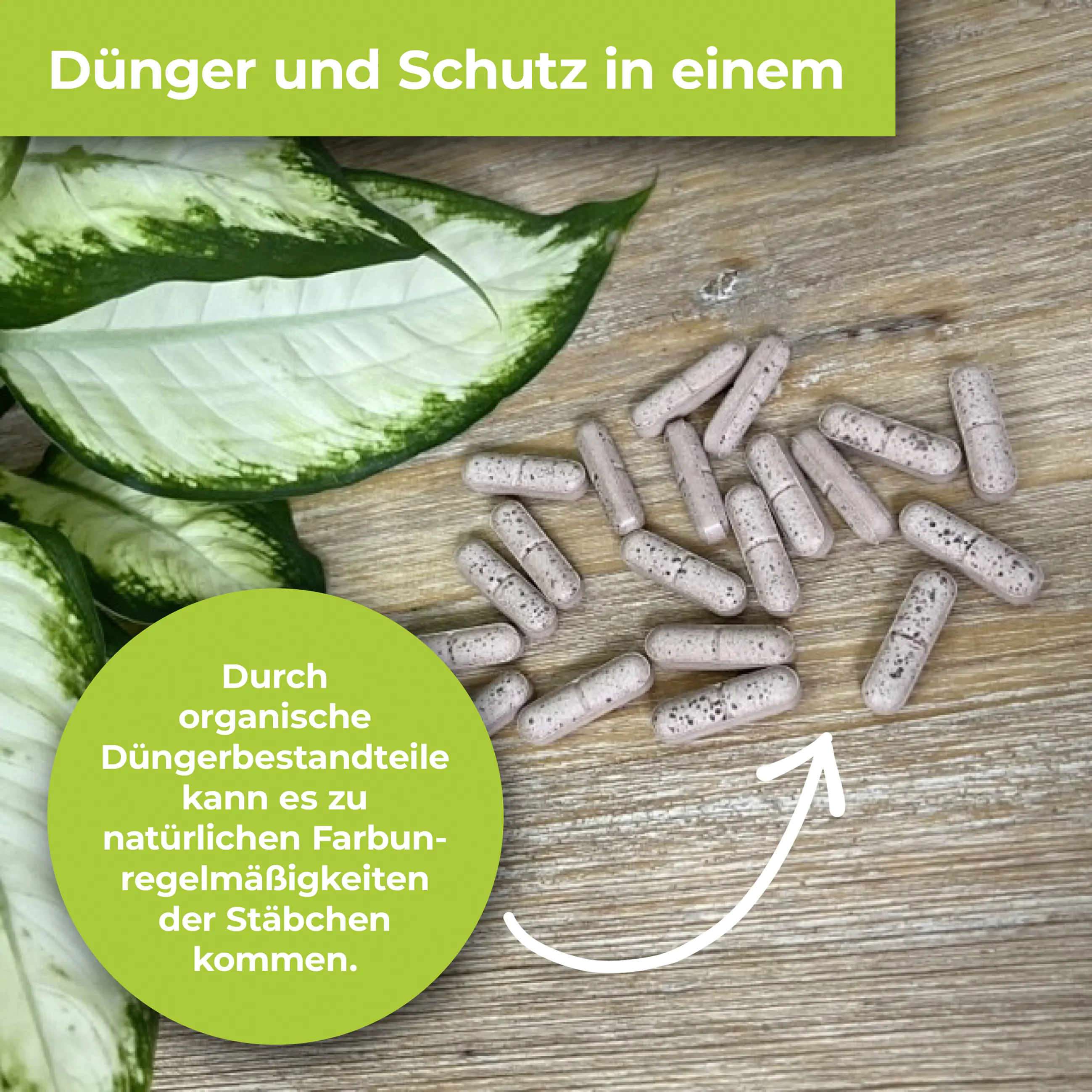 Protect Garden Lizetan Plus Combistäbchen 2 in 1 10 Stück