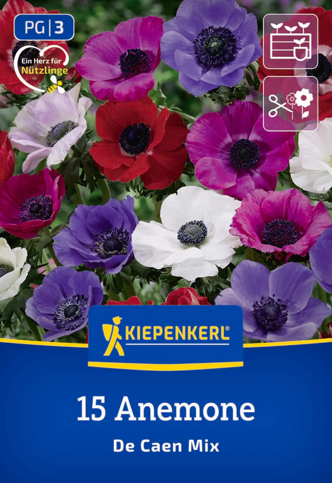 Kiepenkerl Frühjahrsblumenzwiebel Kronenanemone De Caen Mischung 15 Stück