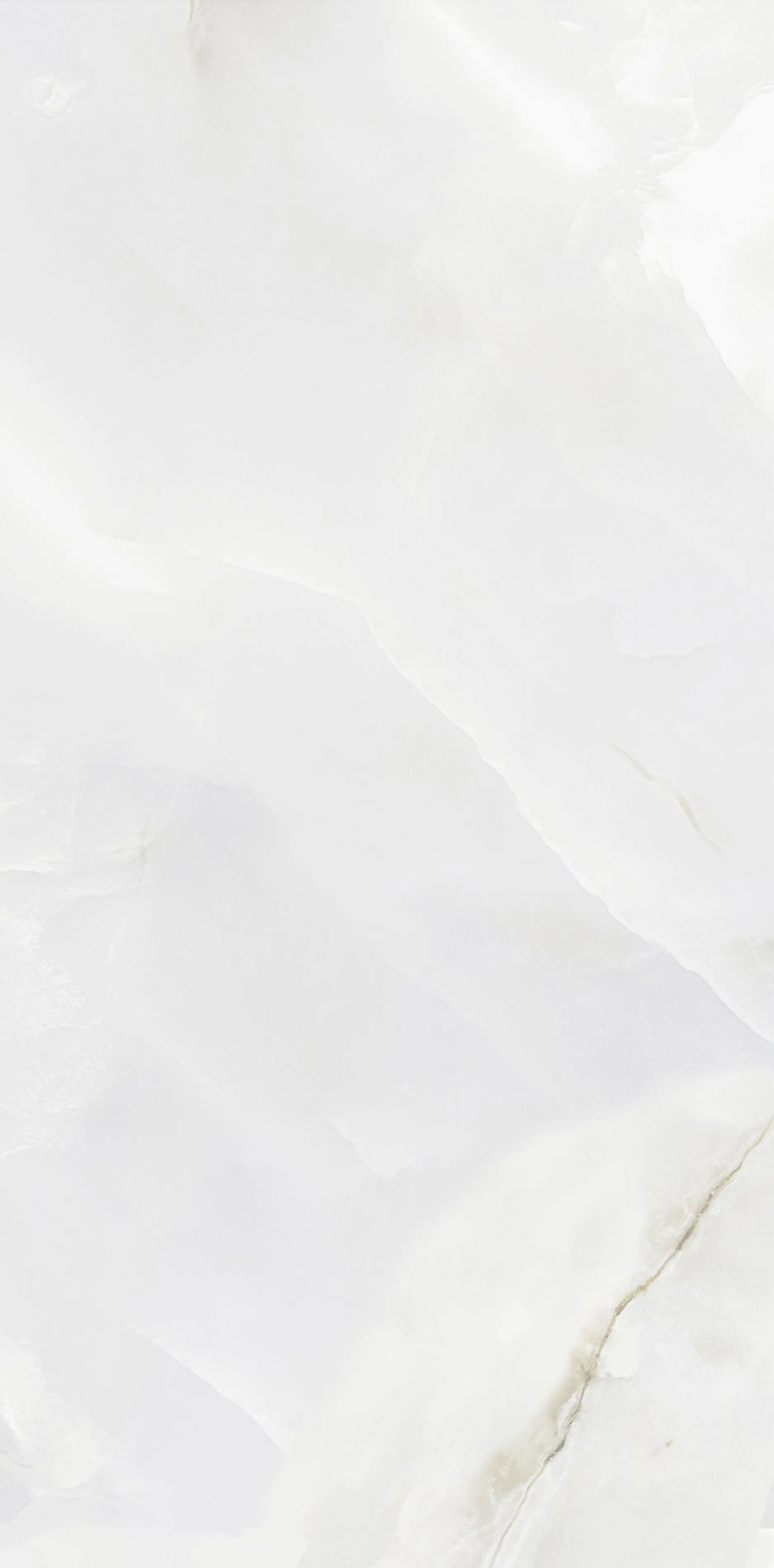 Bodenfliese Feinsteinzeug Bianco Christal 60 x 120 cm weiß