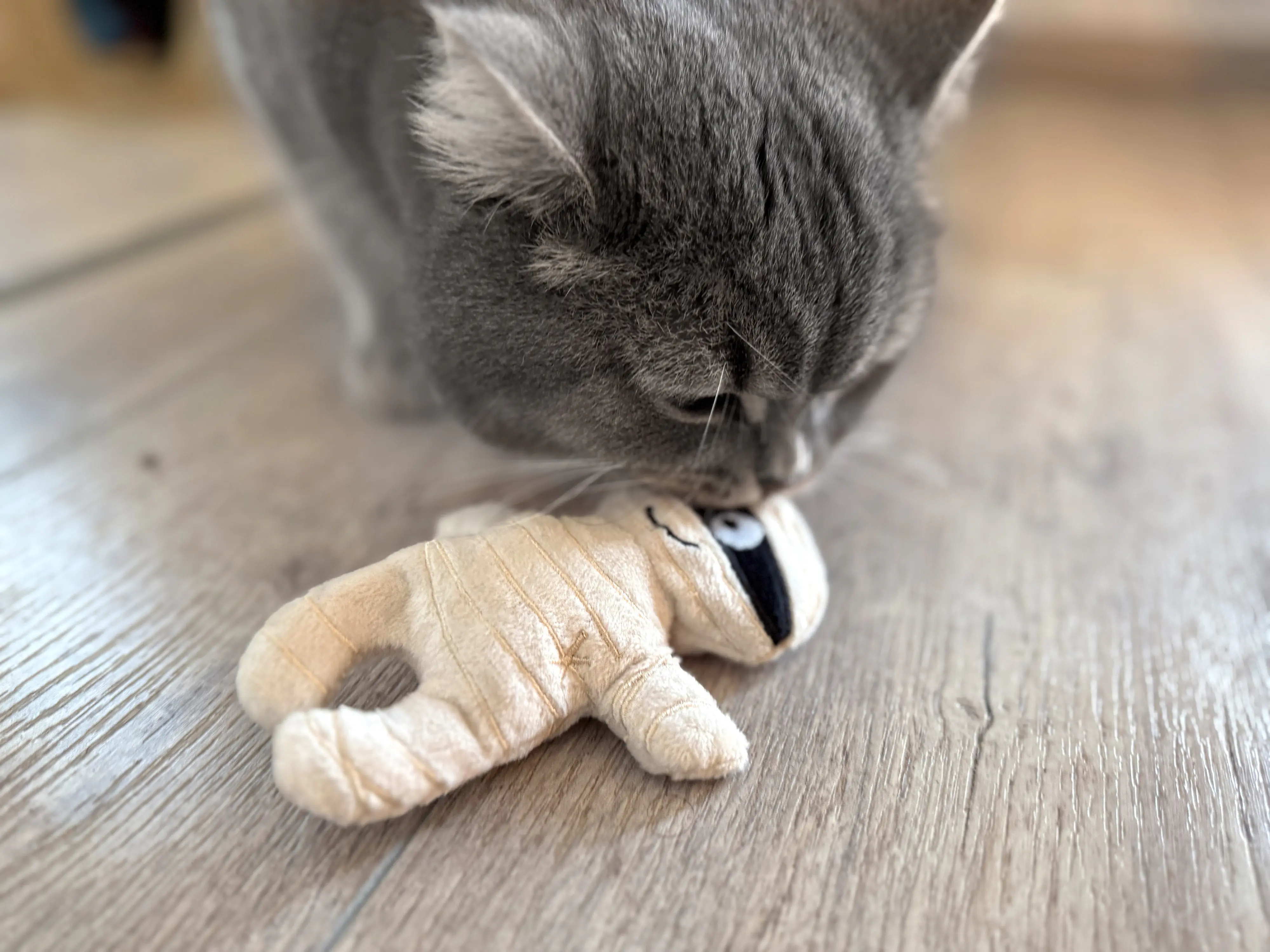 Aumüller Katzenspielzeug Mumie 13 cm schwarz beige