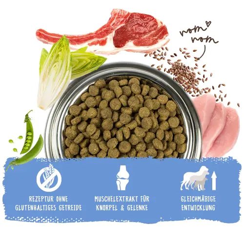 Bosch Hundetrockenfutter Junior 3 kg Lamm & Reis 