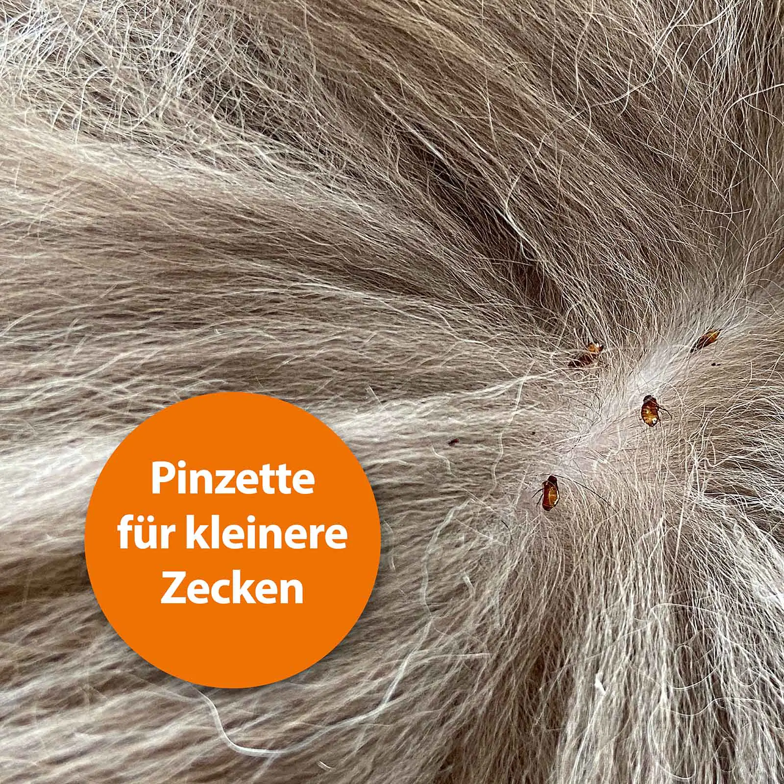 ARDAP Zeckenzange Edelstahl für Tiere