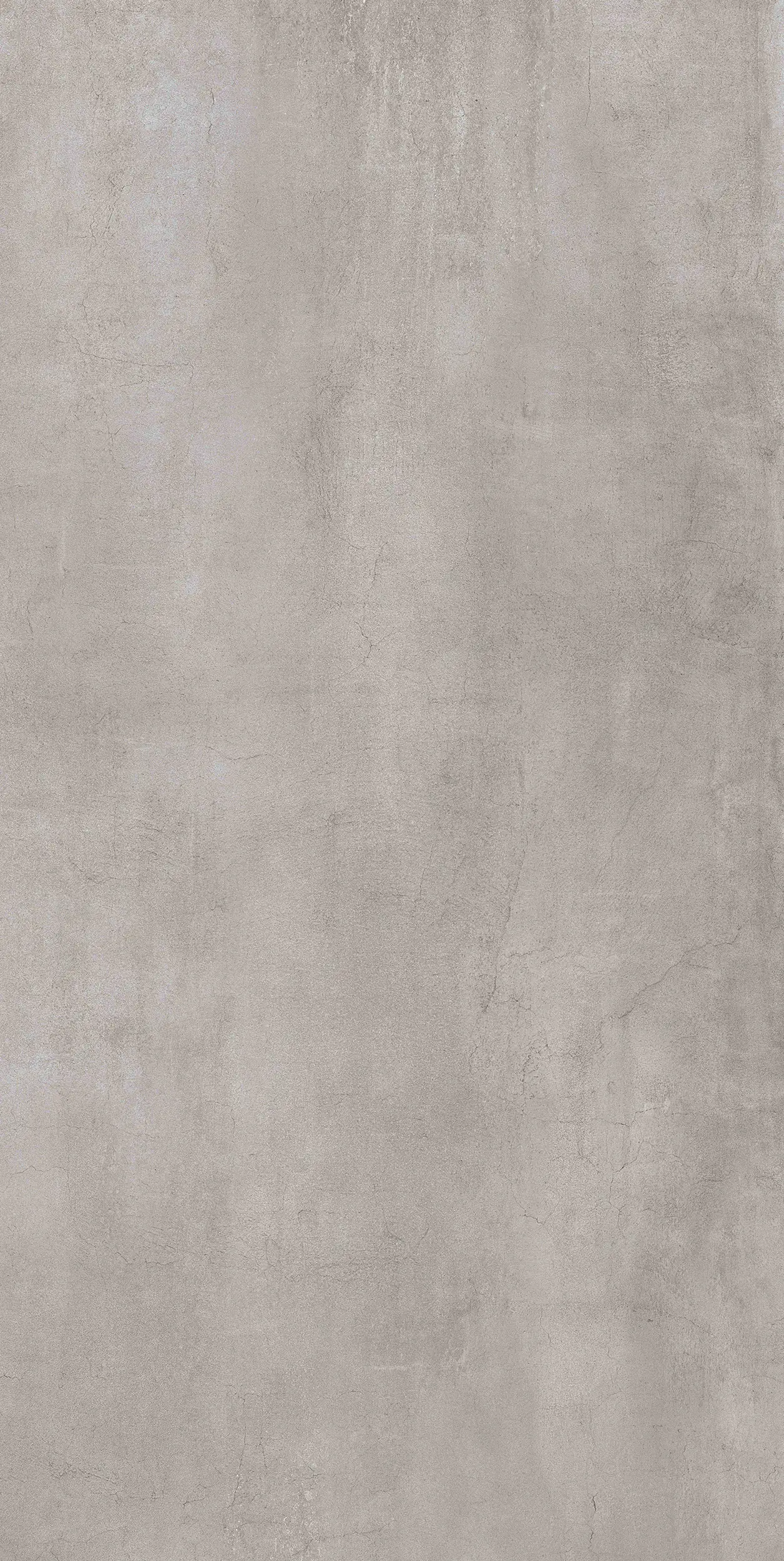 Bodenfliese Feinsteinzeug Timeless 60 x 120 cm grau