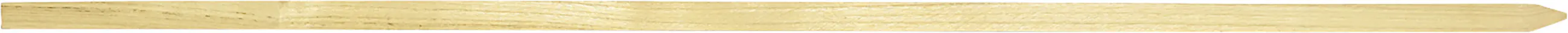 Pflanzstäbe Robine Länge 120 cm
