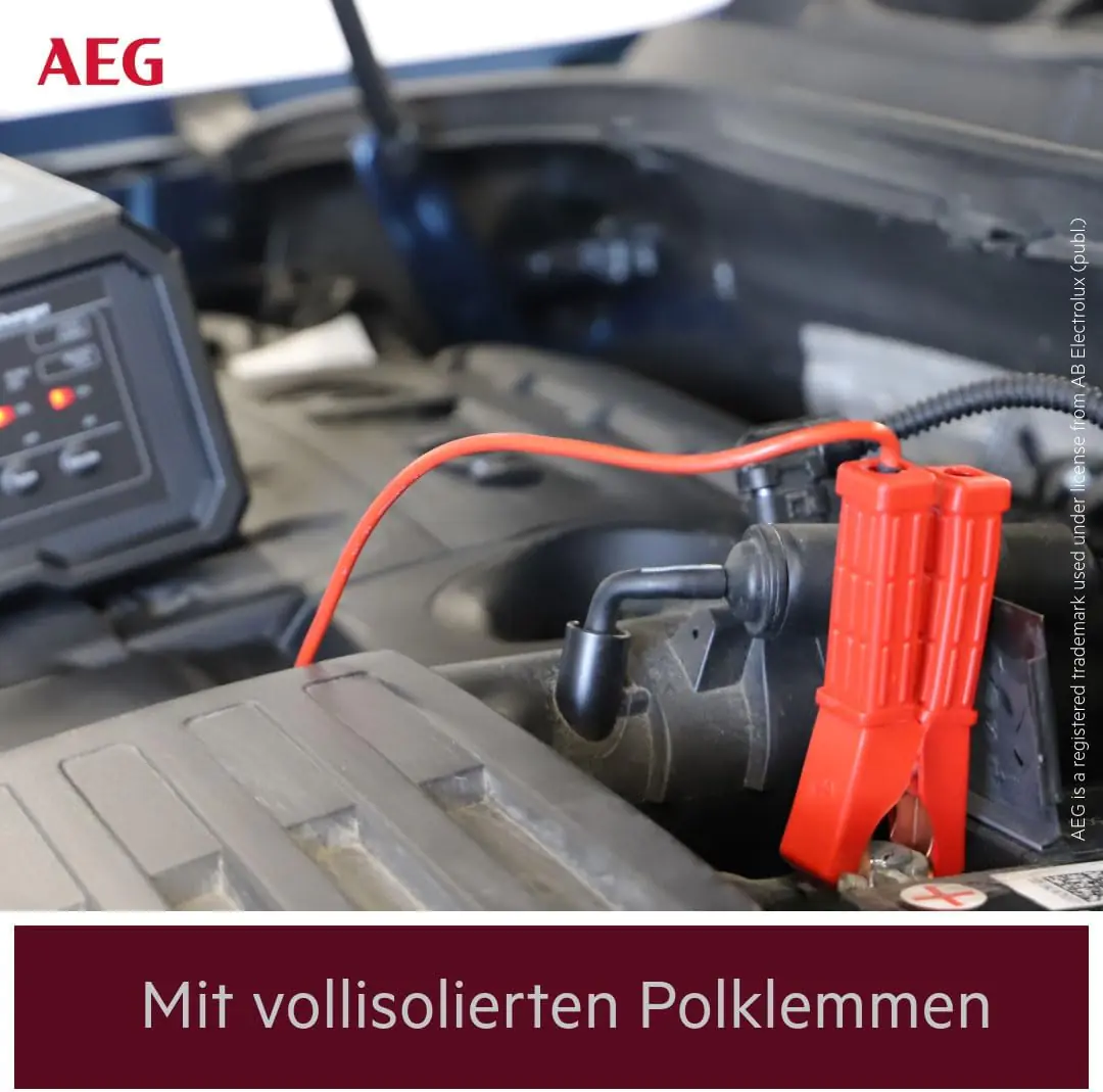 AEG Autobatterie-Ladegerät CW10 6/12 V