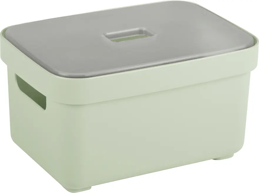 Sunware Aufbewahrungsbox Sigma Home mit Griffen 18 x 13 cm 2,5 L hellgrün