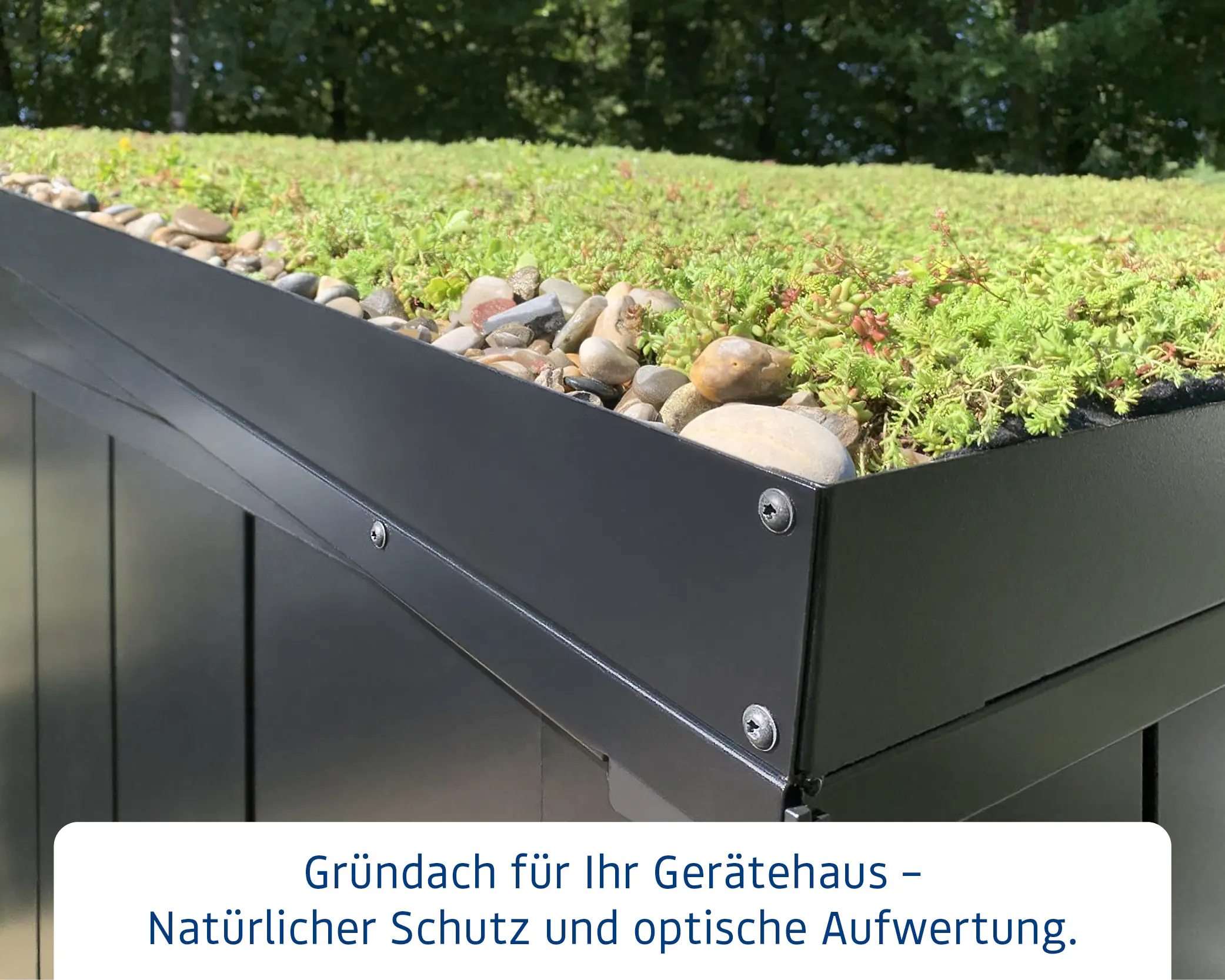 EcoStar Dachrahmen für Gründach Pultdach Typ 2 grau