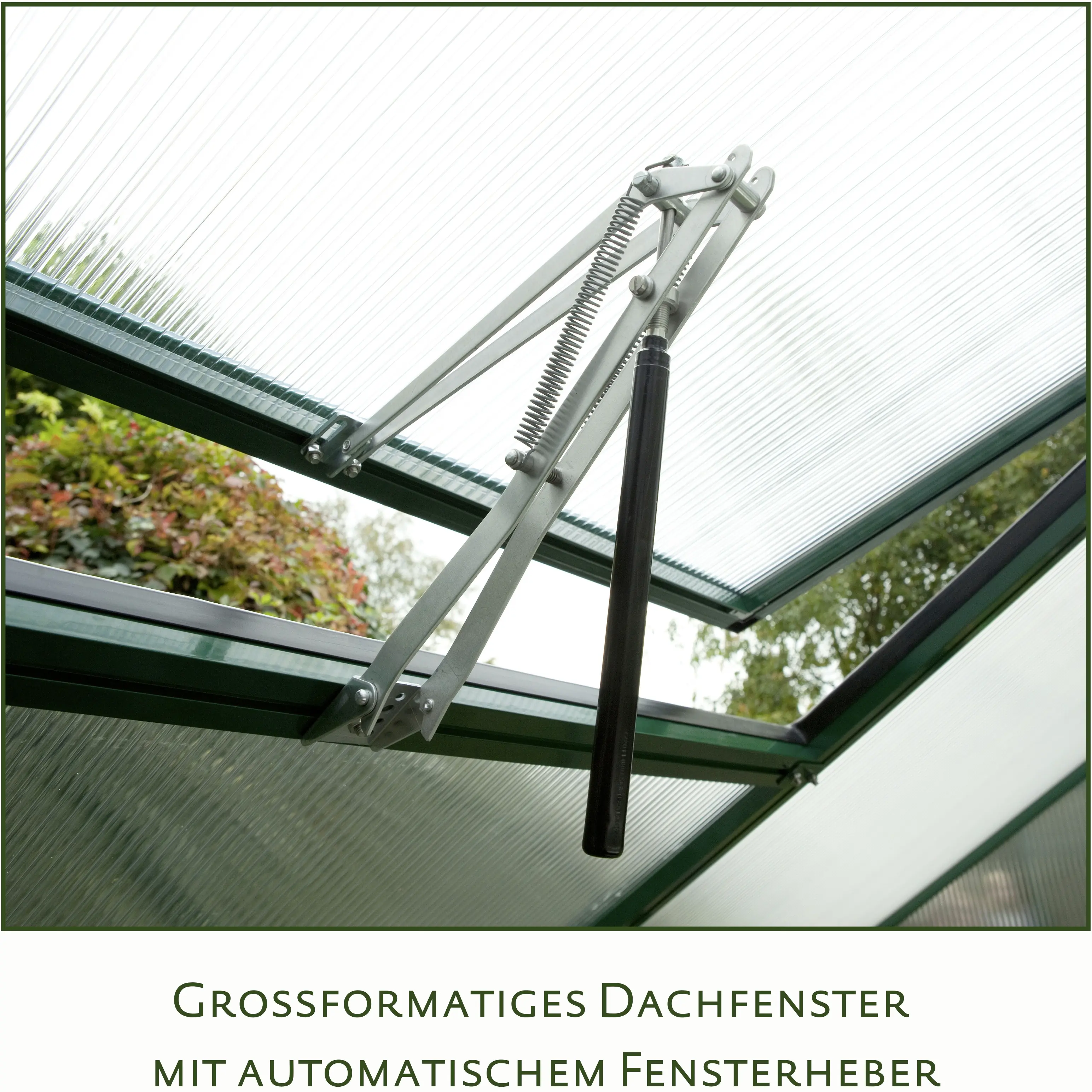 KGT Alu-Gewächshaus Rose III 233 x 323 cm