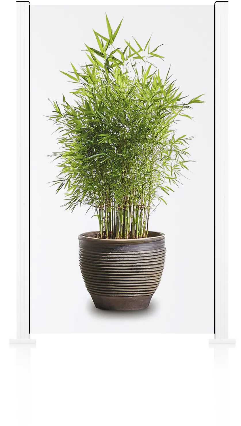 Ambiente Glaszaun Grundset Klarglas 187 x 107,2 cm weiß
