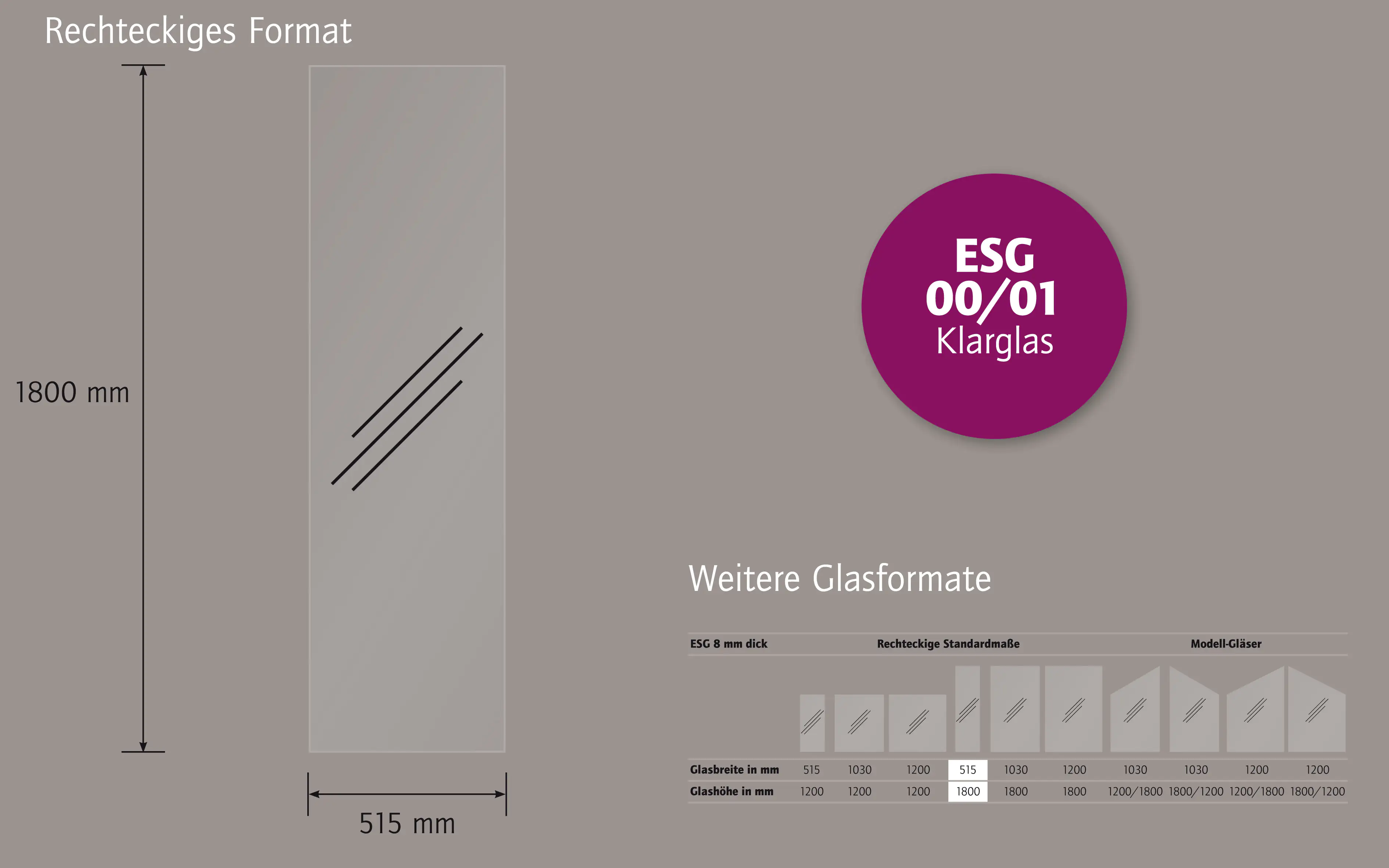 Ambiente Glaszaun Dekor 00/01 51,5 x 180 cm gehärtetes 8 mm Glas