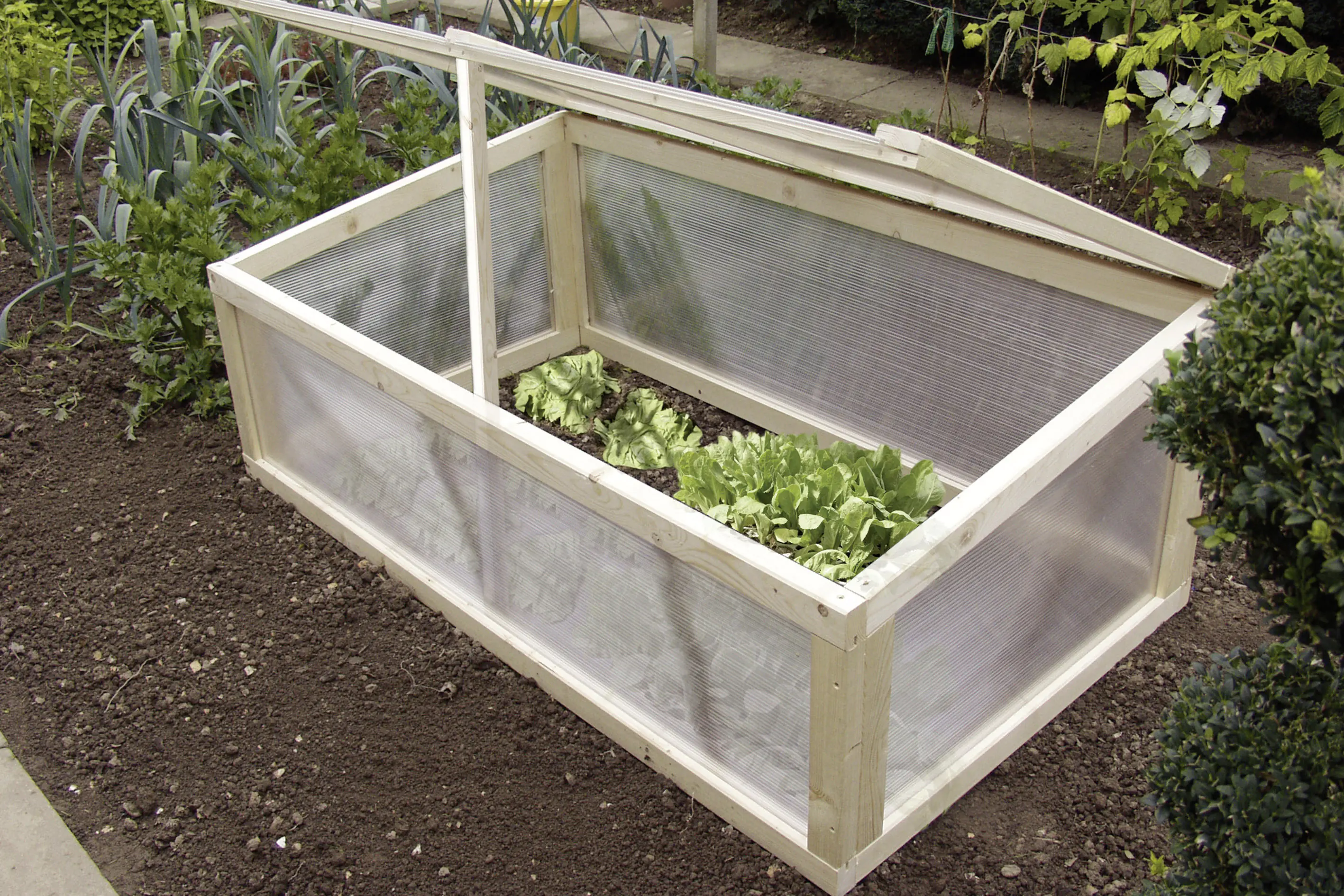Gutta Polycarbonat-Doppelstegplatte 200 x 105 cm 6 mm klar