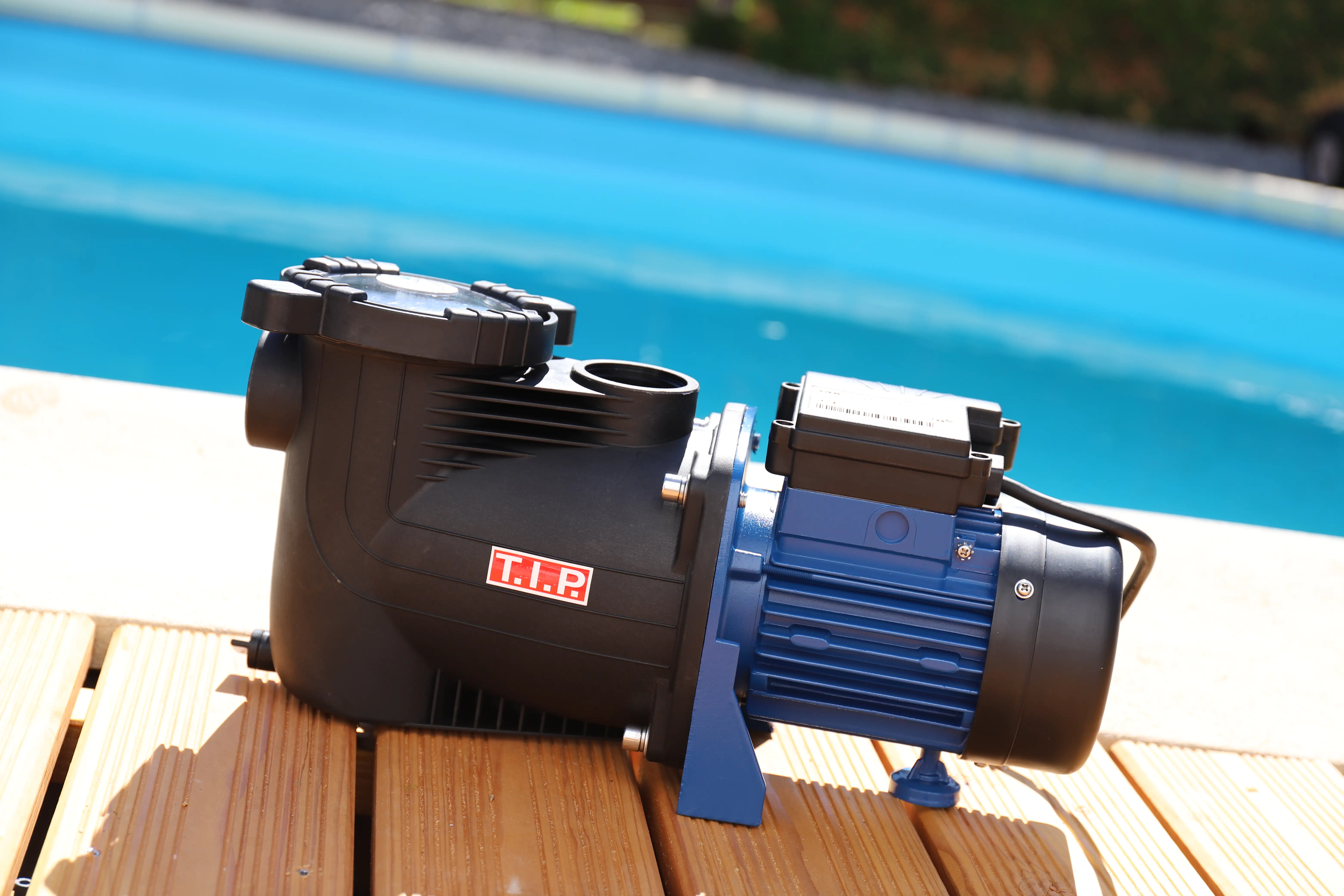 T.I.P. Filterpumpe SPP 300 F schwarz/blau