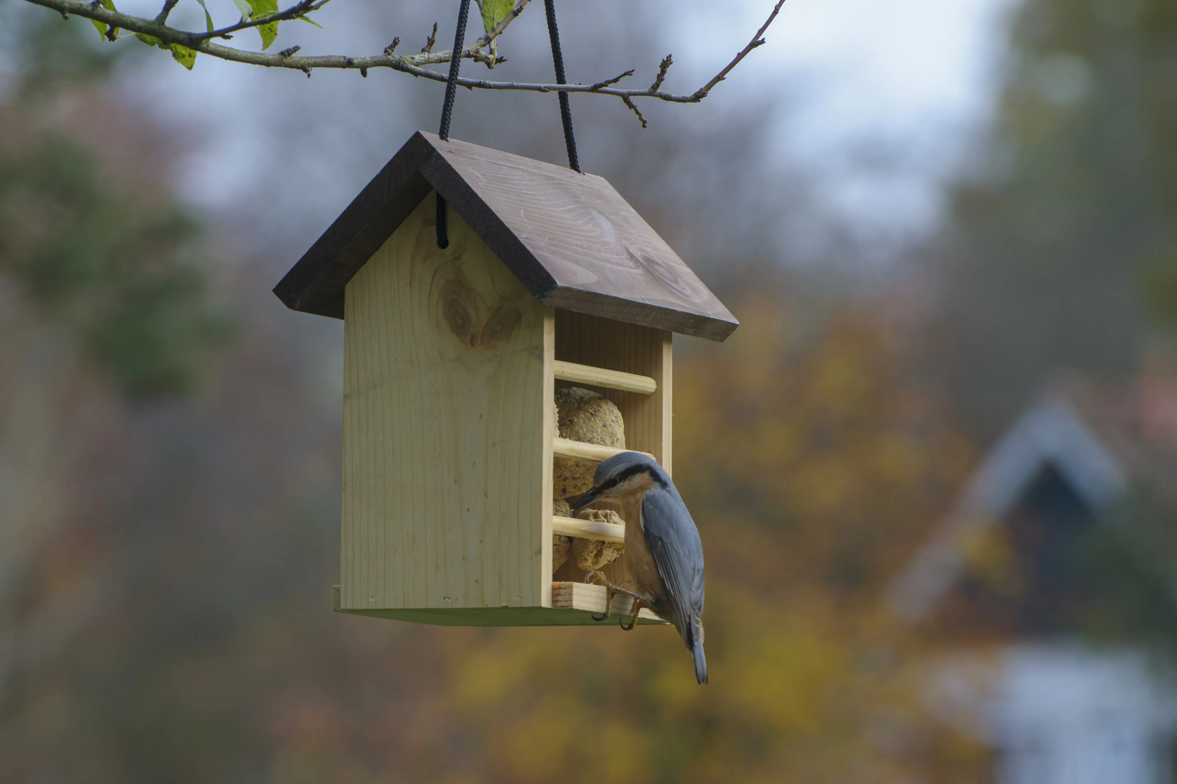 Dobar Vogelfutterhaus für Meisenknödel 22 x 14 x 21 cm braun