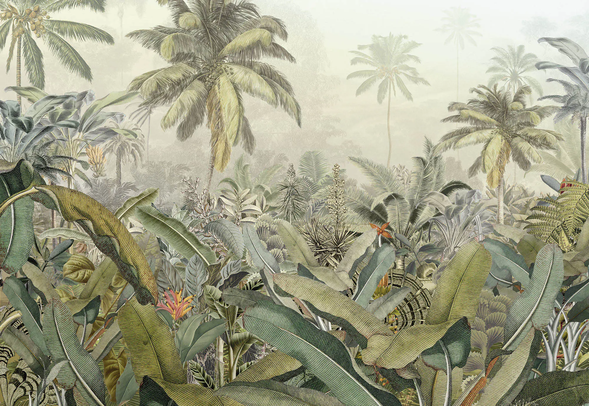 Komar Vlies Fototapete Amazonia 368 x 248 cm 