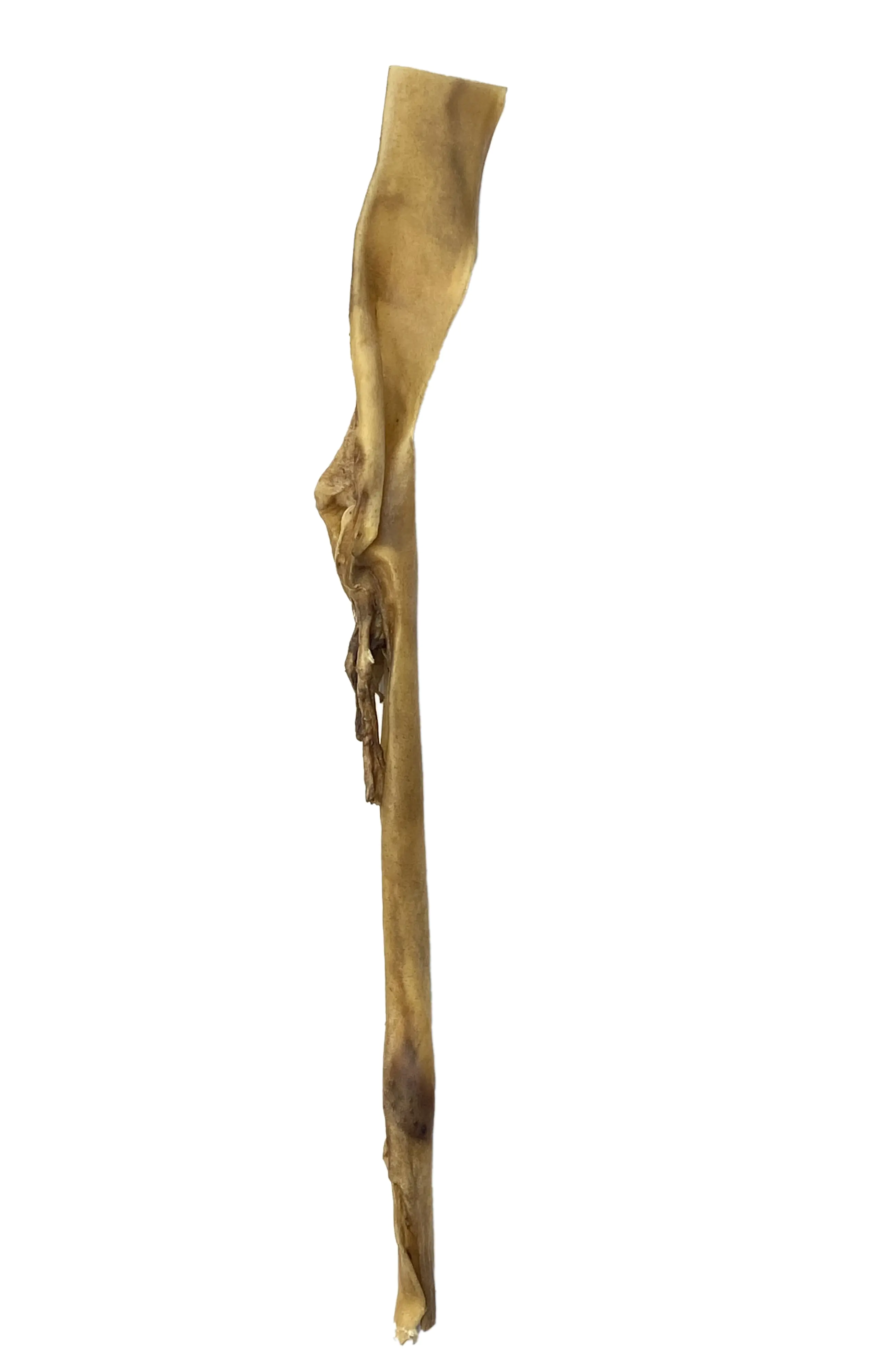 Thempa Rinderkopfhaut 145 g Länge 70 cm 