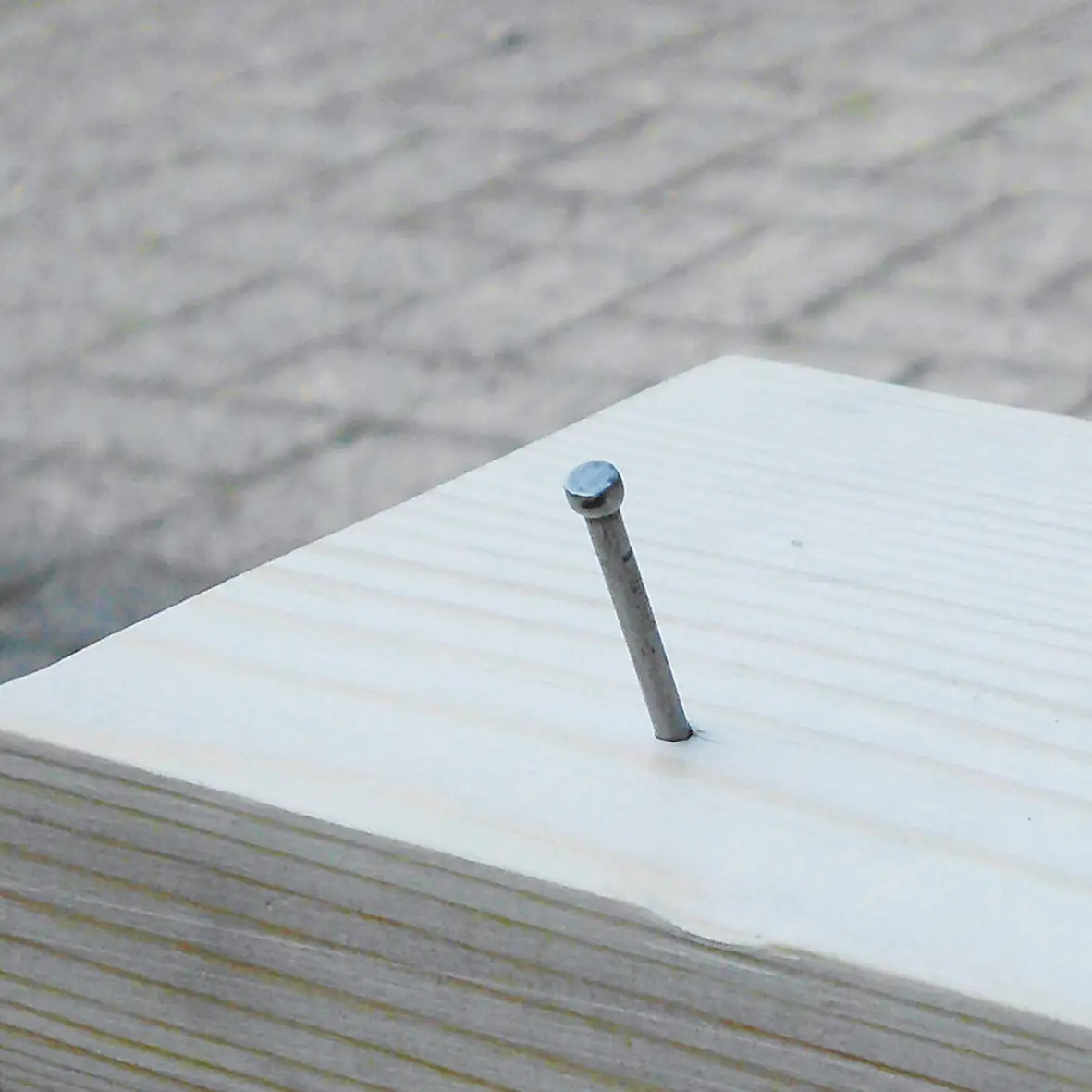Connex Drahtnägel 0.9 x 13 mm Stauchkopf - 300 g