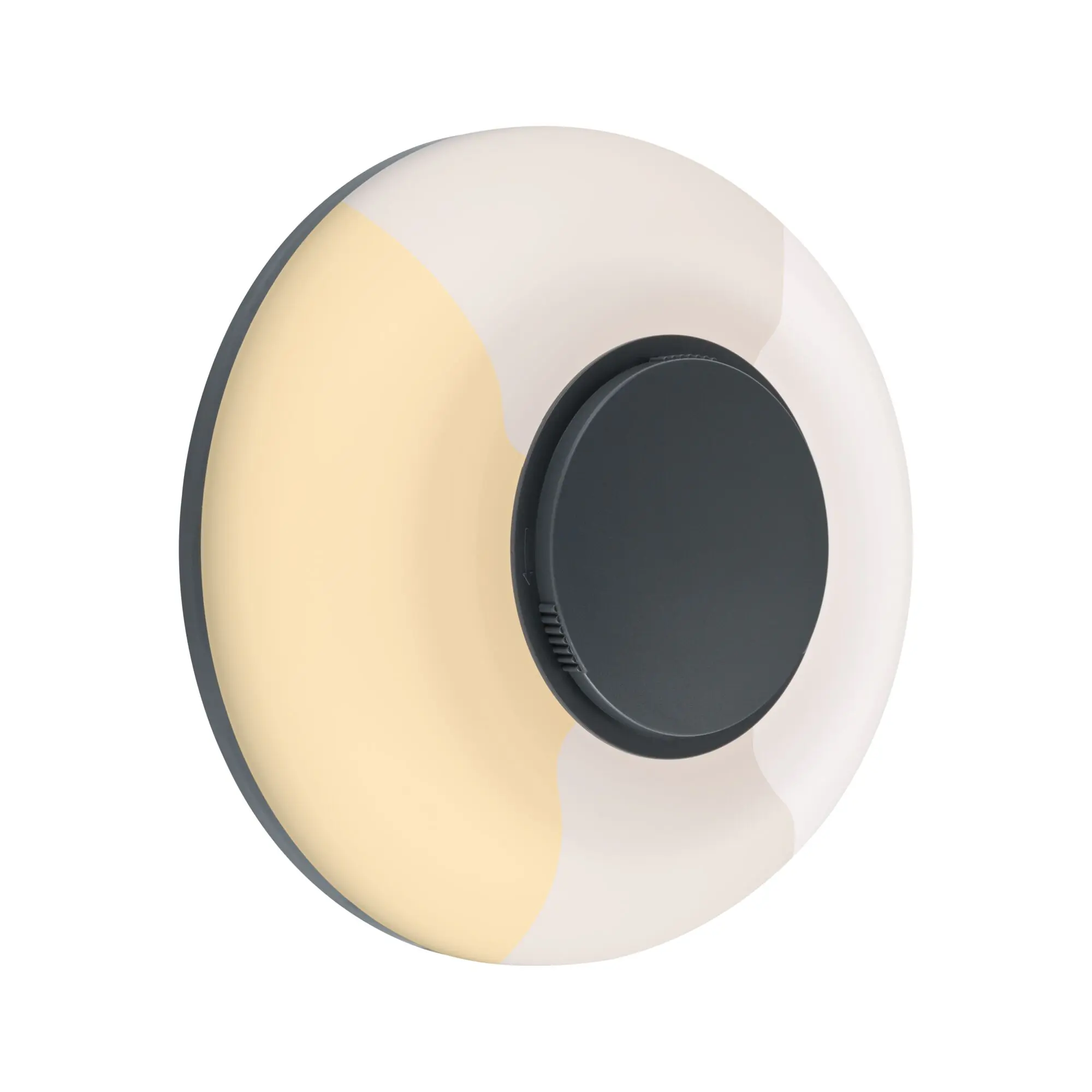 Paulmann LED-Außenleuchte Aureva Ø 22cm 20,5 W anthrazit/weiß