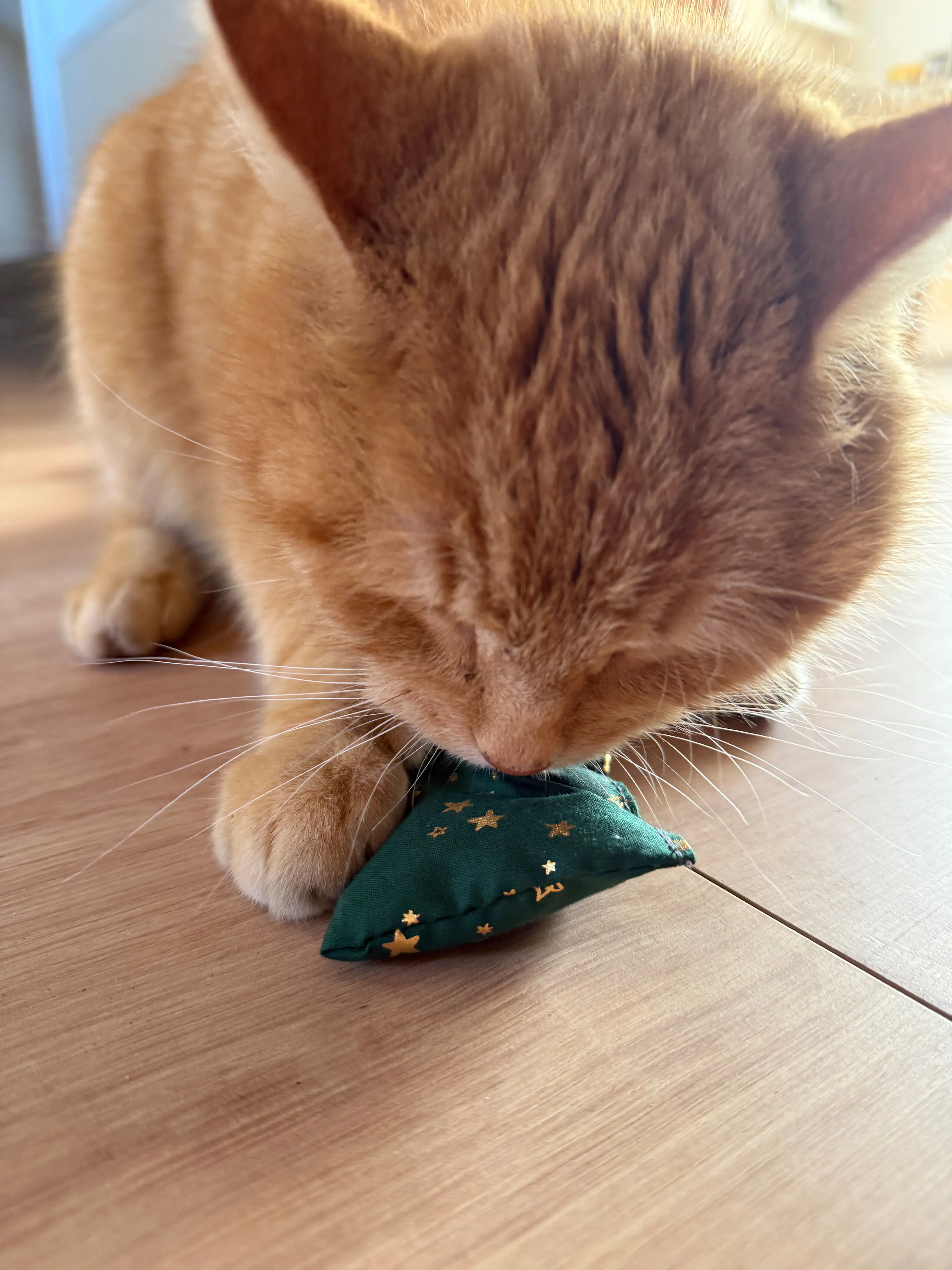 Aumüller Katzenspielzeug Weihnachten Kissen 10 cm grün gold - 2 Stk.