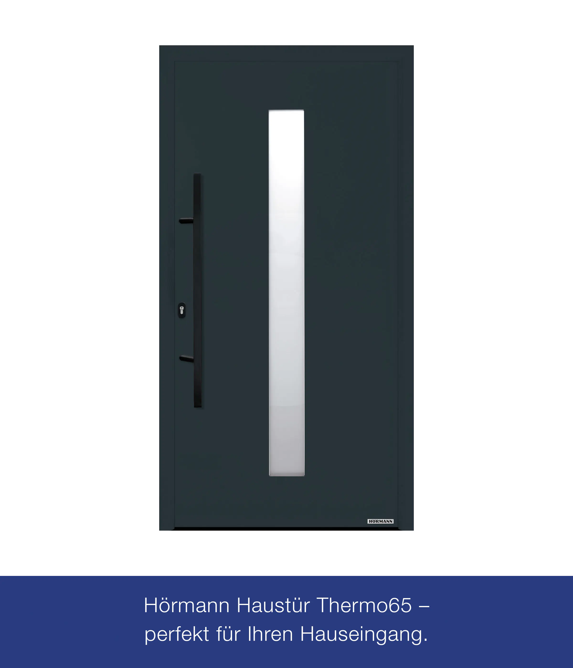 Hörmann Haustür Thermo65 Motiv 610S anthrazitgrau Links 110 x 210 cm