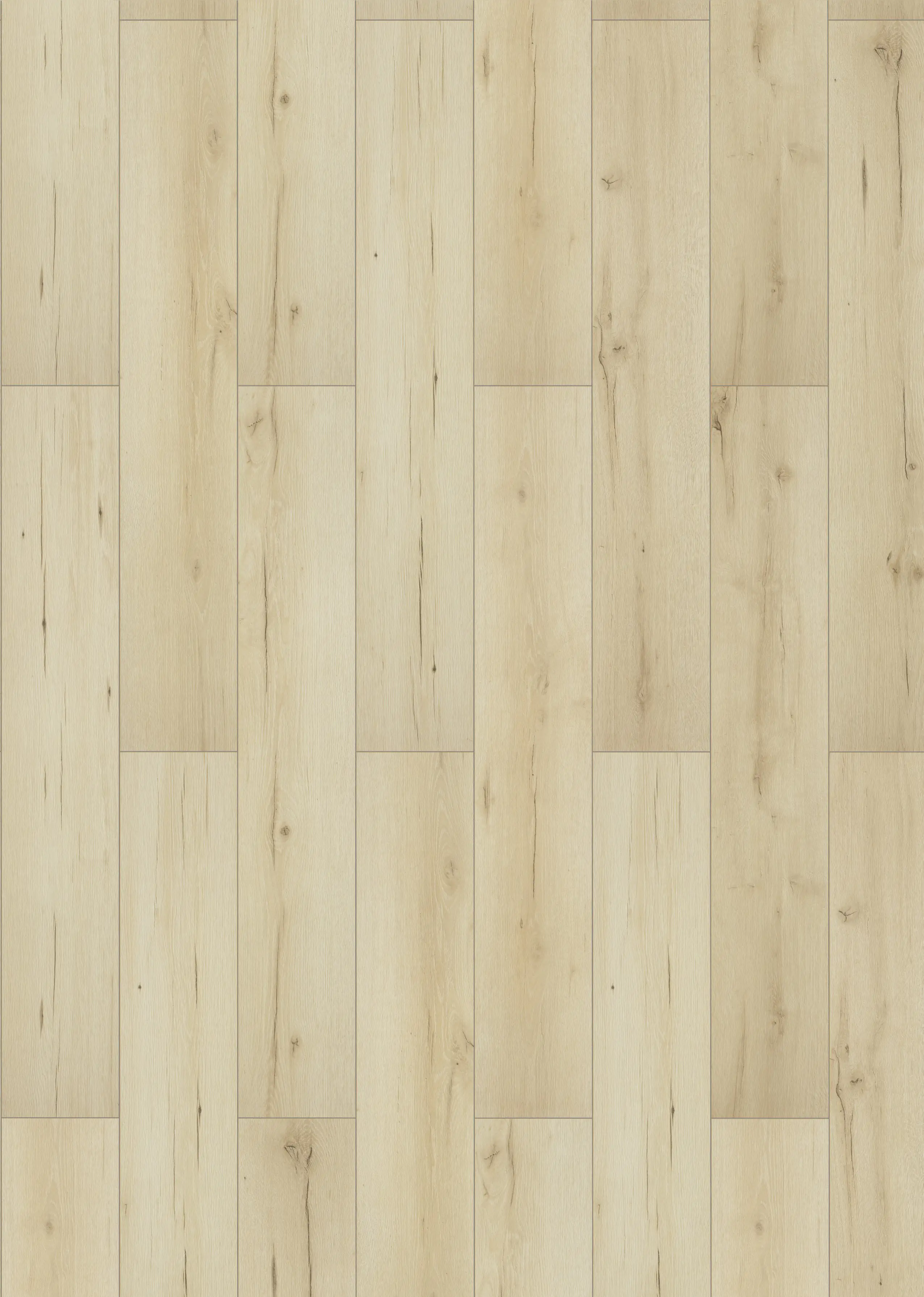 Classen Laminat Noblesse 128,6 x 19,4 cm 7 mm Eiche Cadoc