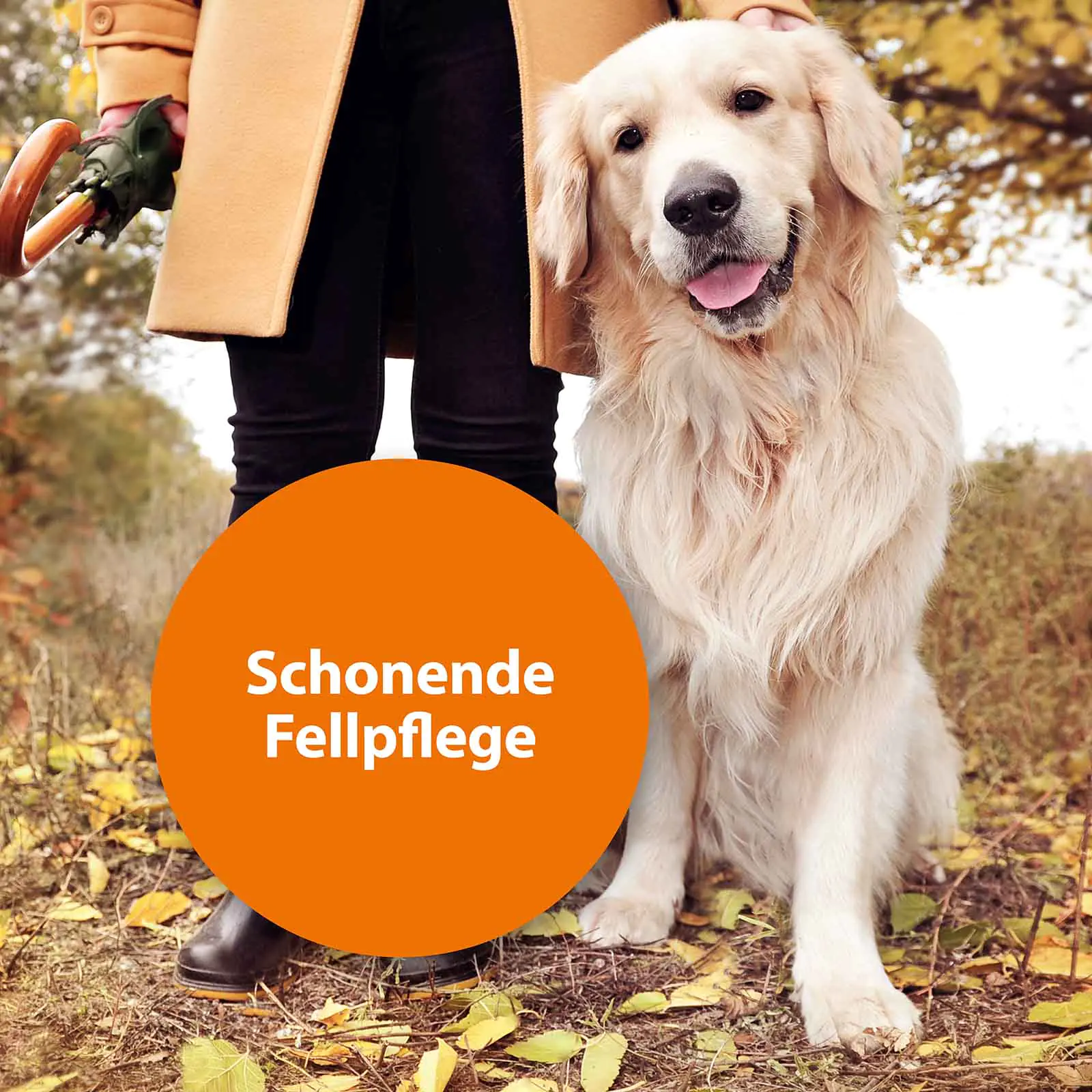 ARDAP Floh- und Staubkamm für Tiere