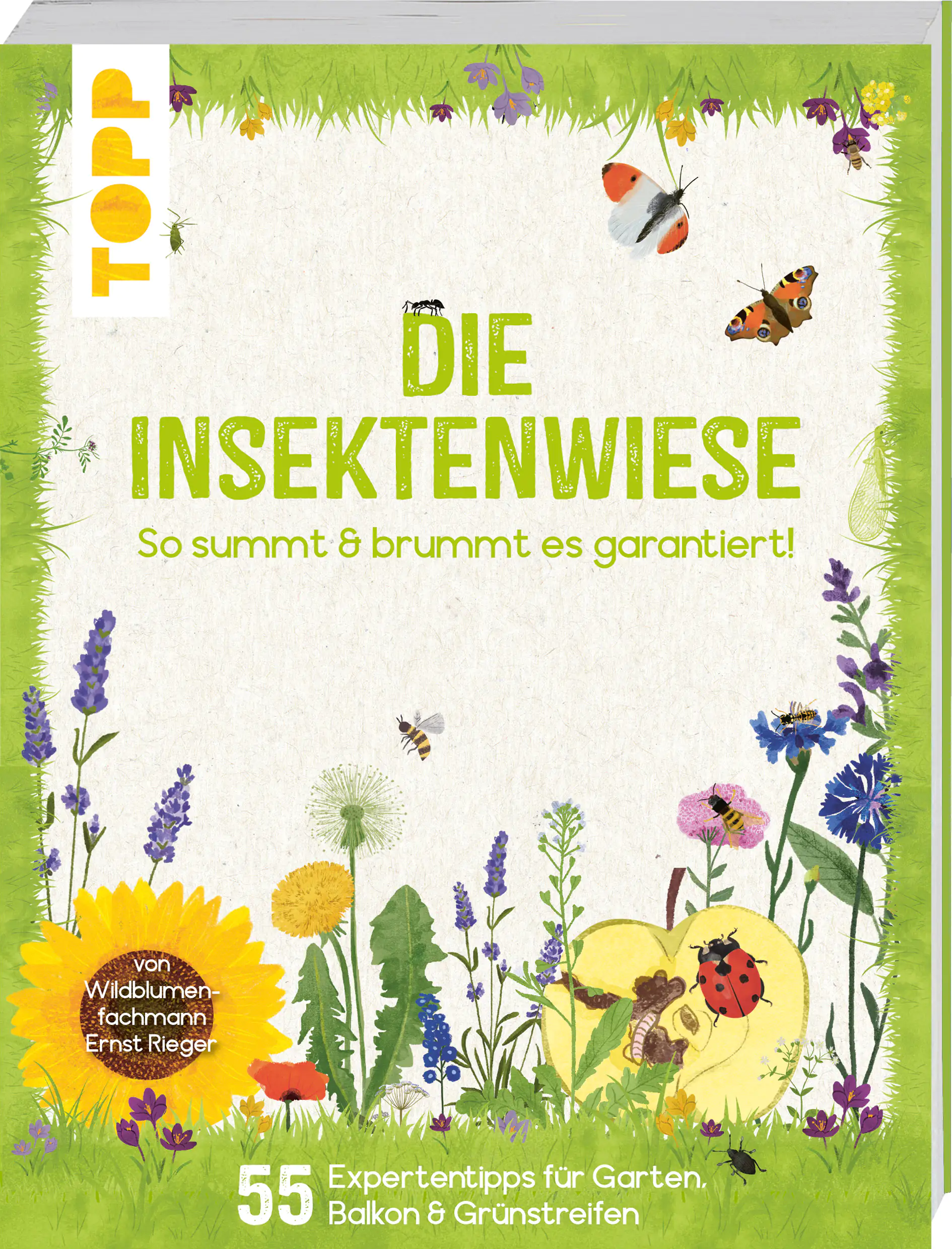 Die Insektenwiese: So summt & brummt es bestimmt!